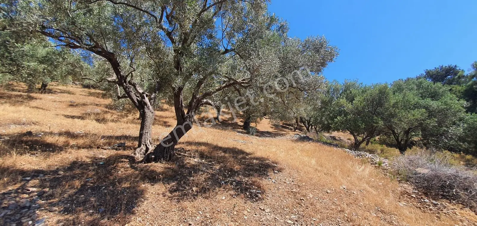 Kuşadası İmar Planın Da Satılık,deniz Manzaralı Arazi - Görsel 17