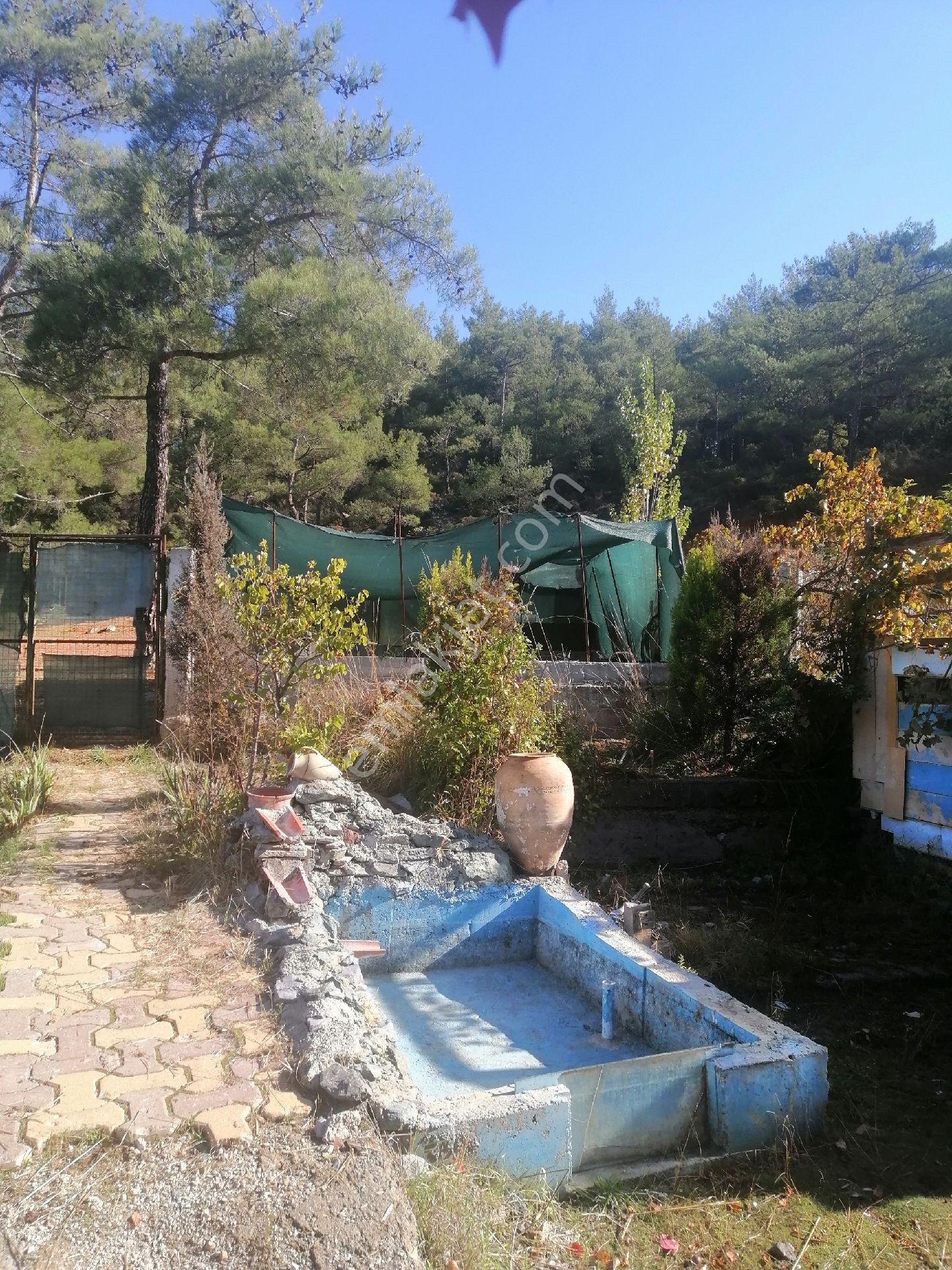 Muğla Akyaka Denize 15 Dakika Mesafede Yaylada - Görsel 5