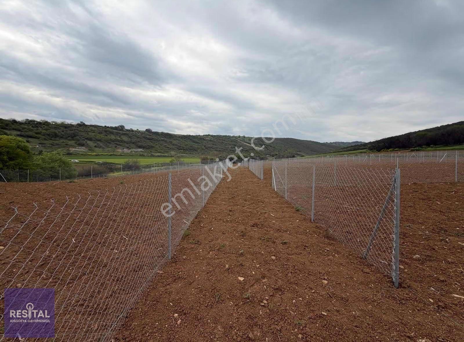 Yenişehir Demirboğada 364m2 Satılık Arazi