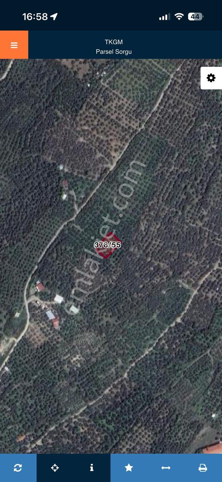 Erdek'in Merkezine Çok Yakın 815 M2 Satılık Zeytinlik - Görsel 2