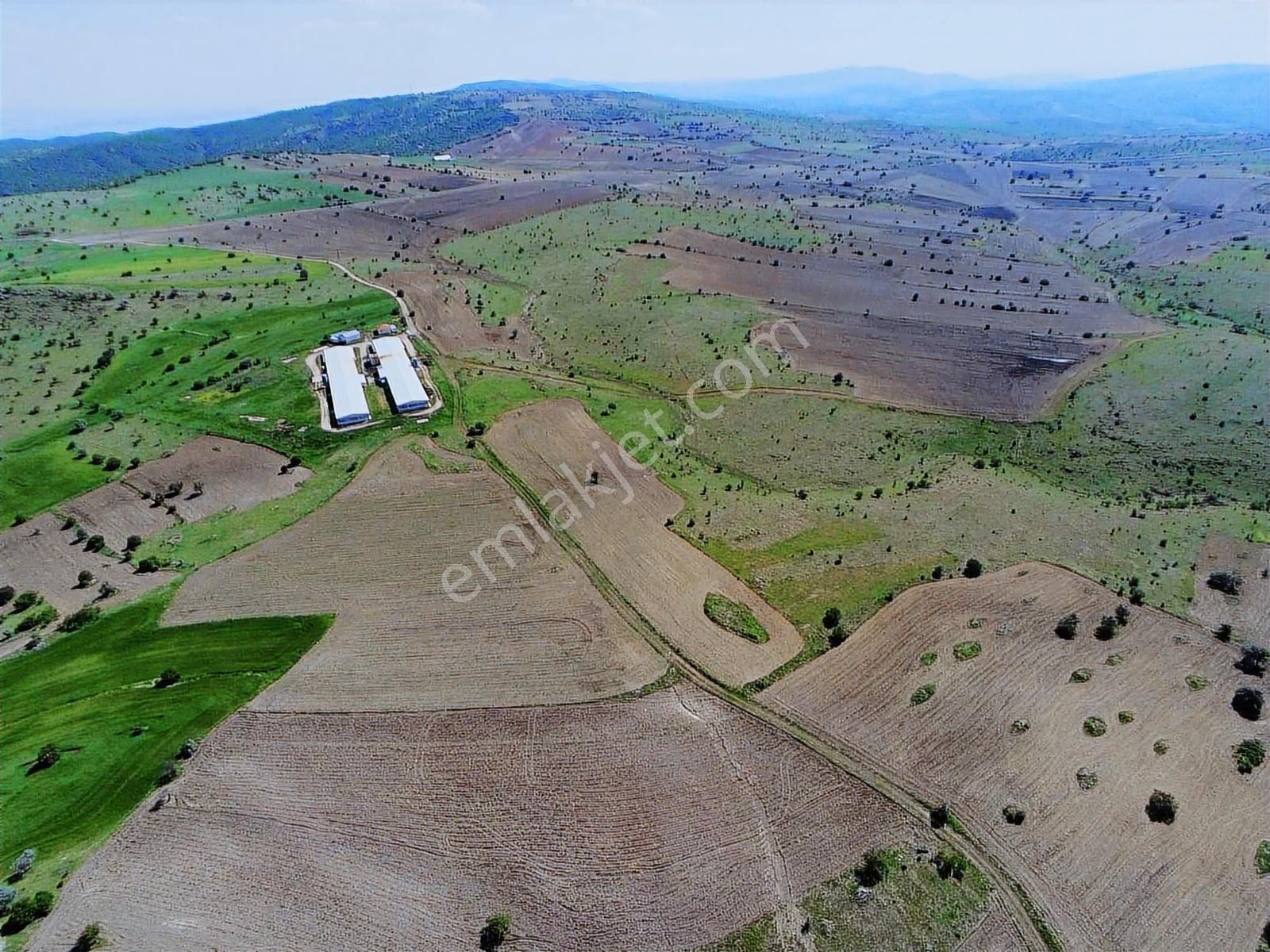 Cumaya Kadar Geçerli!!! Otoban Kenarı Tek Tapu 6.776 M2 Tarla - Görsel 18
