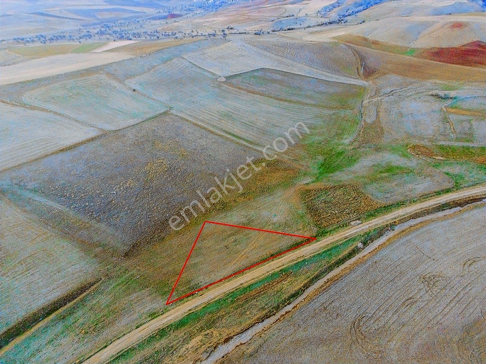 Kırıkkale Delice'de Tek Tapu 1.400 M2 Tarla ( Son Fiyat) - Görsel 5