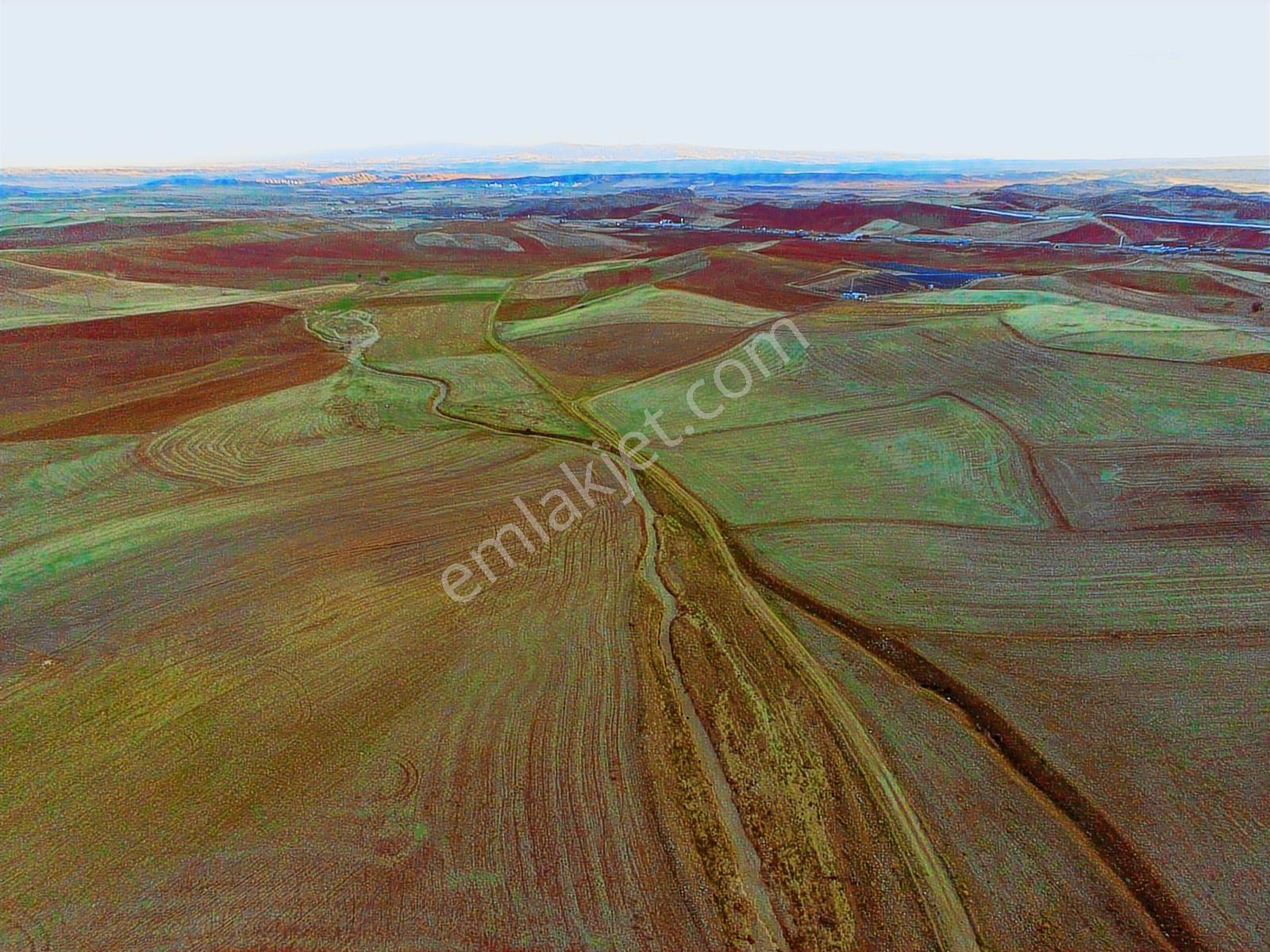 Kırıkkale Delice'de Tek Tapu 1.400 M2 Tarla ( Son Fiyat) - Görsel 11