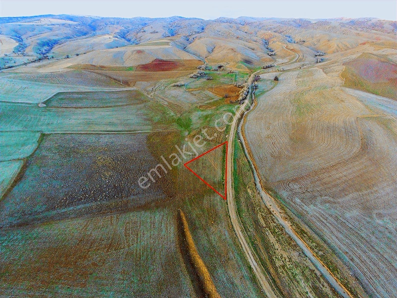 Kırıkkale Delice'de Tek Tapu 1.400 M2 Tarla ( Son Fiyat) - Görsel 8