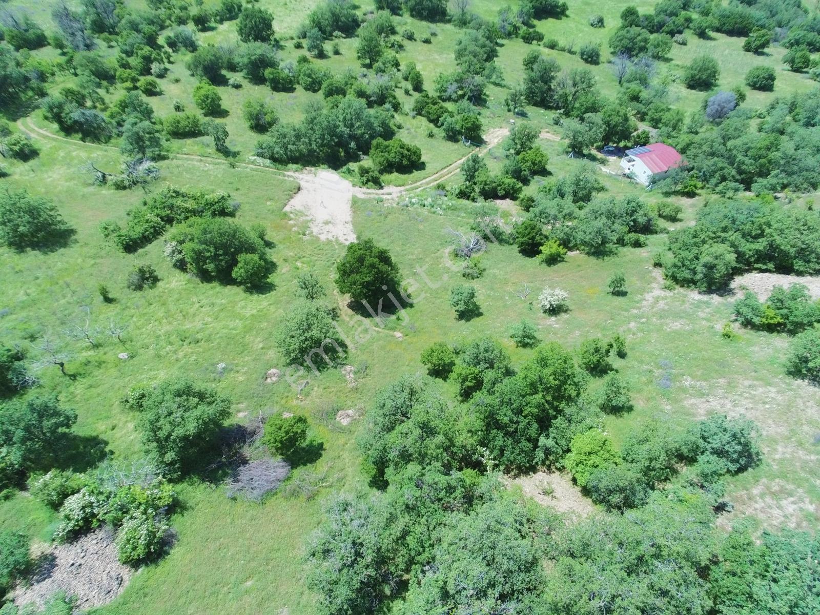 Ayaş Yağmurdede Mah.de Tek Tapu 1.499 M2 Bağ Yeri - Görsel 8