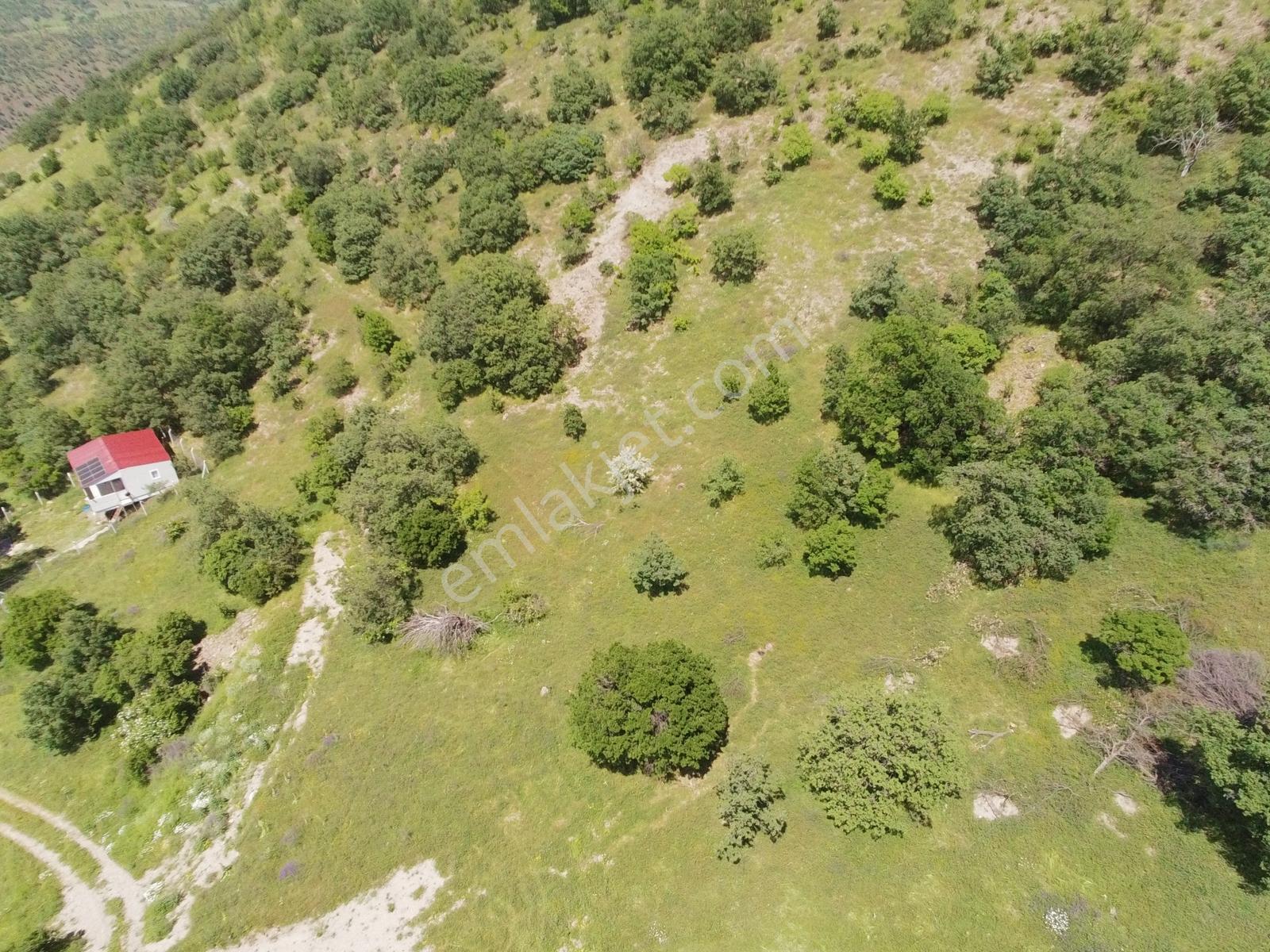 Ayaş Yağmurdede Mah.de Tek Tapu 1.499 M2 Bağ Yeri - Görsel 5