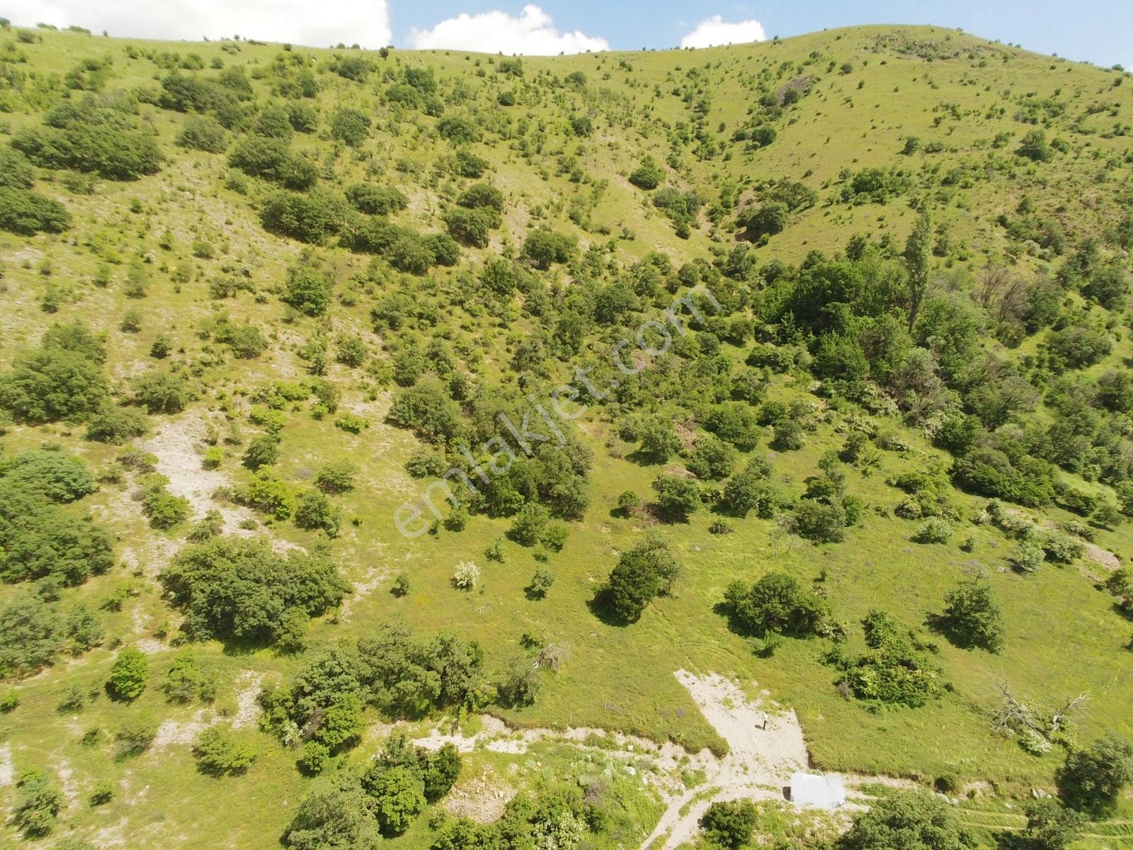 Ayaş Yağmurdede Mah.de Tek Tapu 1.499 M2 Bağ Yeri - Görsel 14