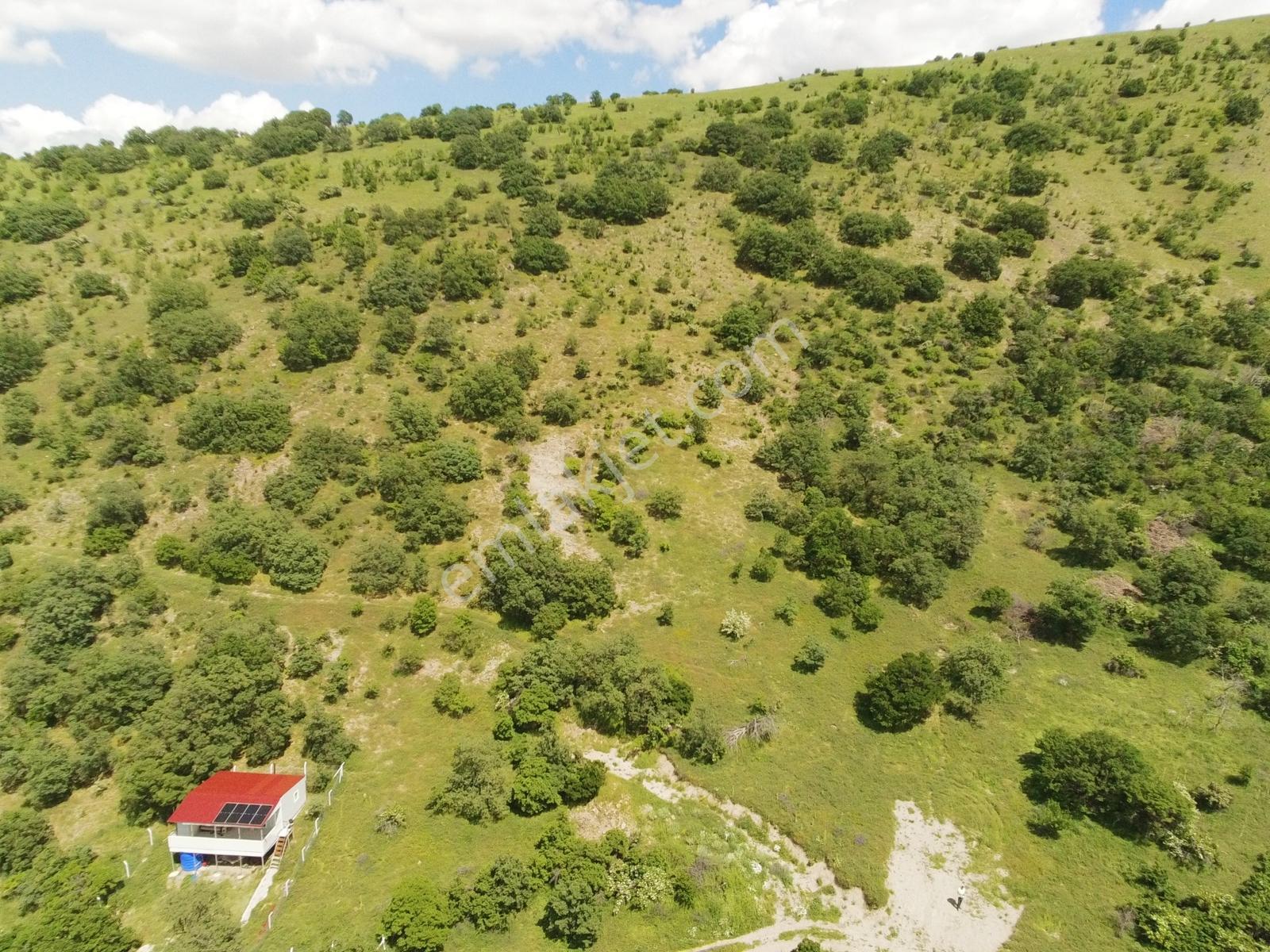 Ayaş Yağmurdede Mah.de Tek Tapu 1.499 M2 Bağ Yeri - Görsel 9