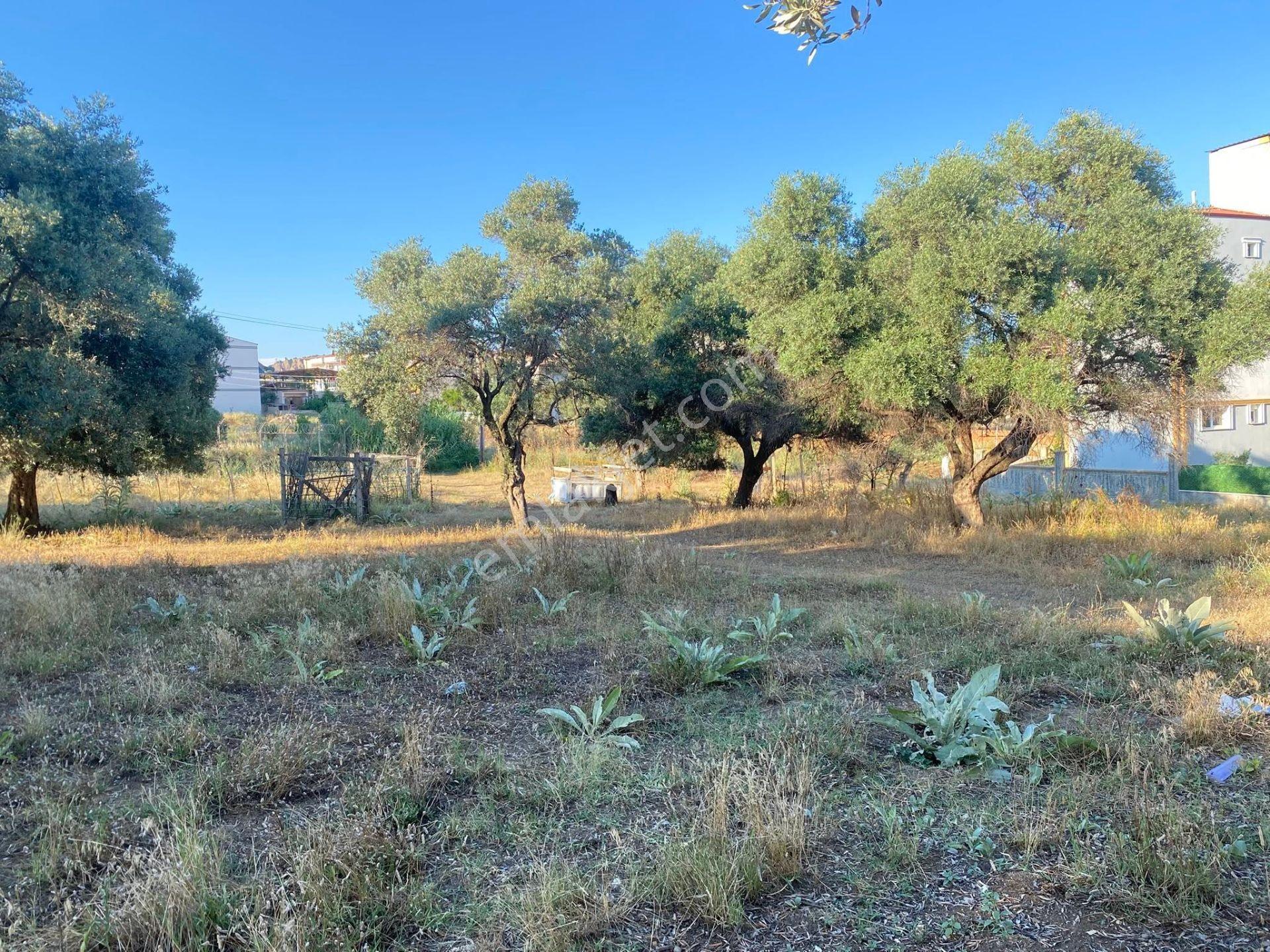 Nazilli Pınarbaşı Mahallesinde Satılık 372 M2 Konut İmarlı Arsa - Görsel 5