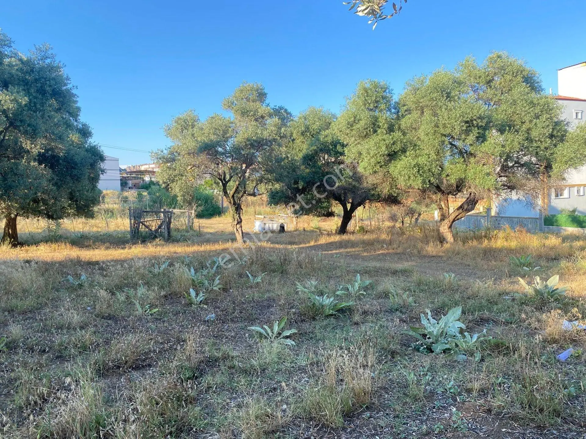 Nazilli Pınarbaşı Mahallesinde Satılık 372 M2 Konut İmarlı Arsa - Görsel 4