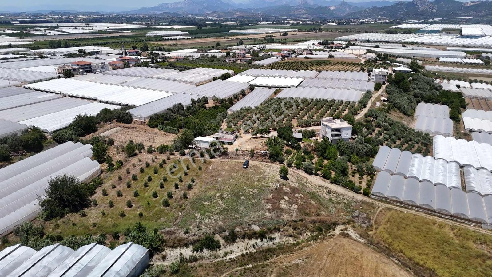 Çakış'da 2,5dönüm Satılık Arsa - Görsel 5