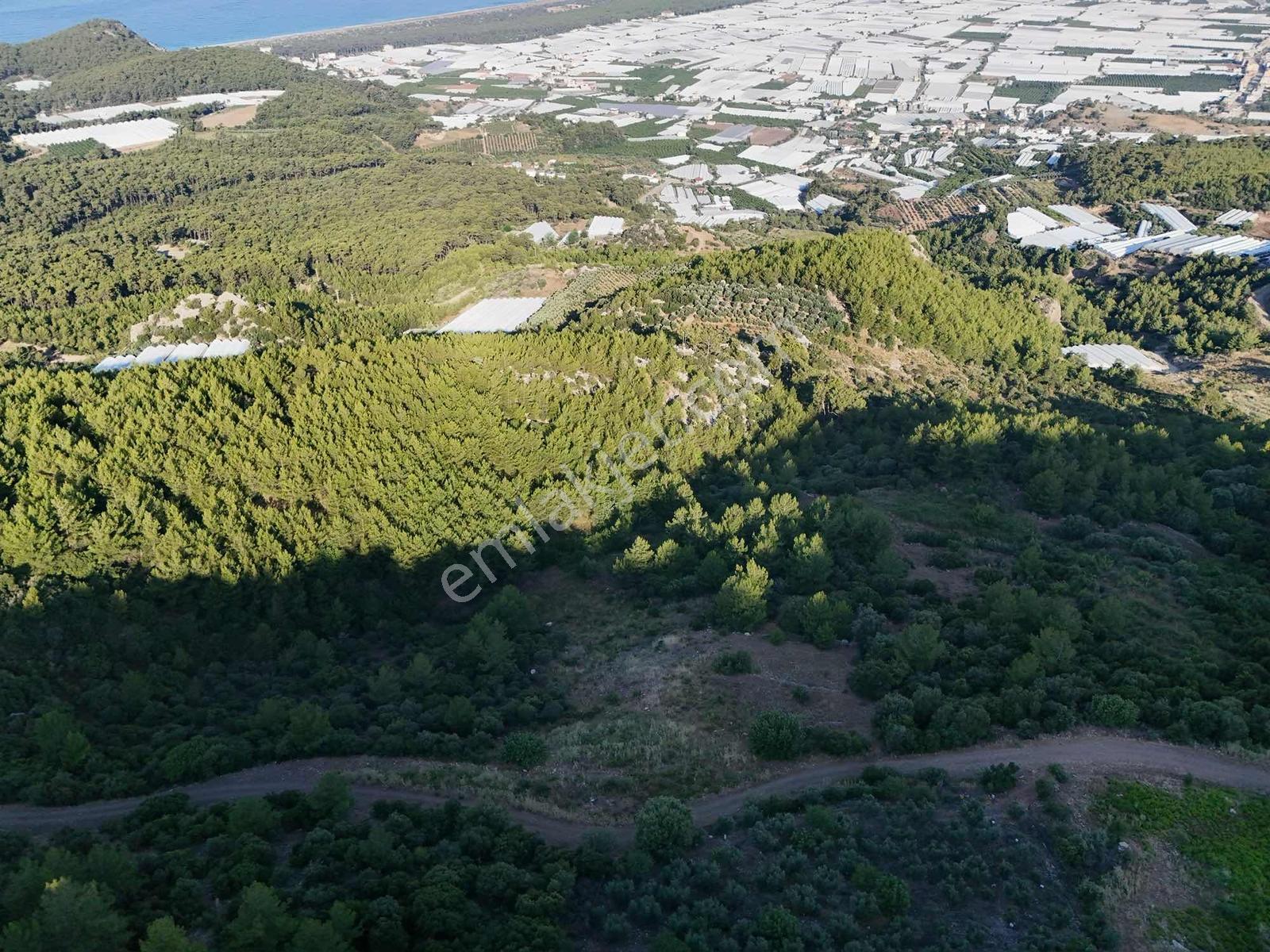 Kumluca Yenice'de Meyve Bahçesi Ve Sera İçin Uygun Satılık Tarla - Görsel 8