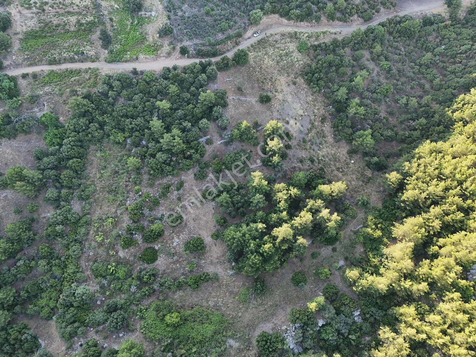 Kumluca Yenice'de Meyve Bahçesi Ve Sera İçin Uygun Satılık Tarla - Görsel 24