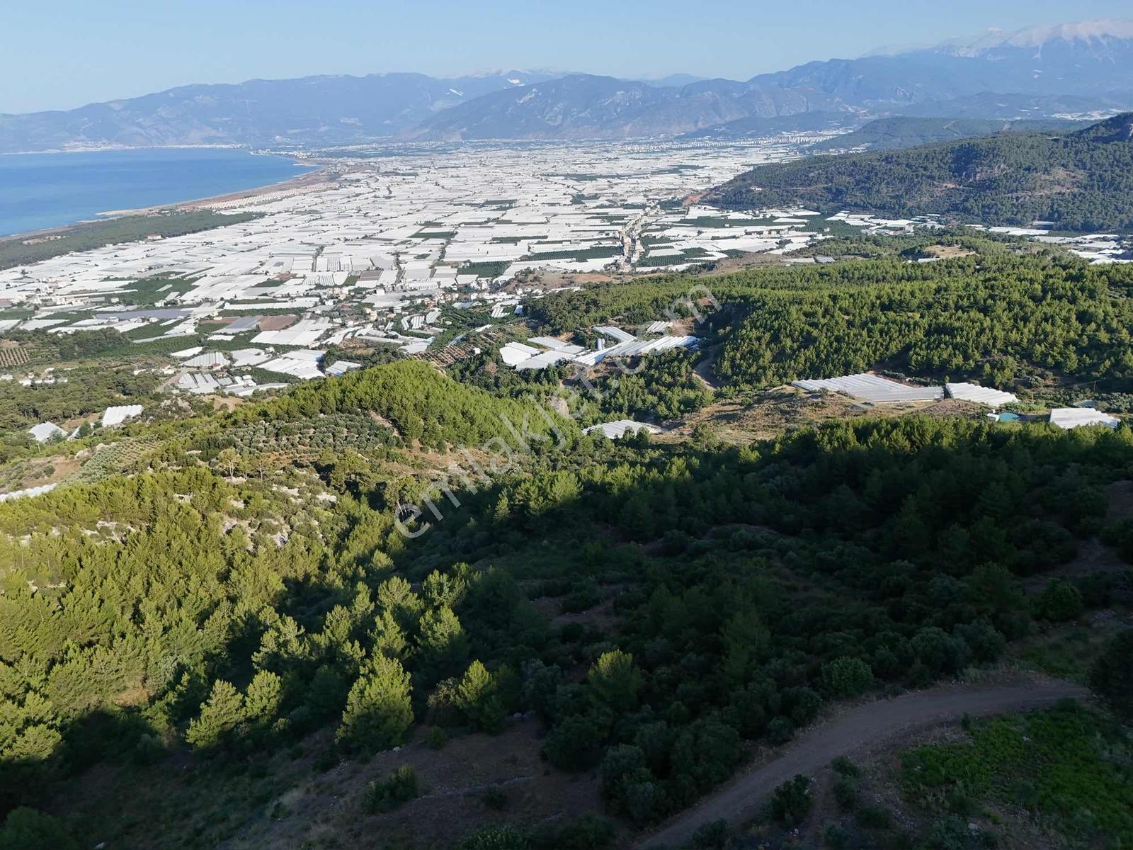 Kumluca Yenice'de Meyve Bahçesi Ve Sera İçin Uygun Satılık Tarla - Görsel 22