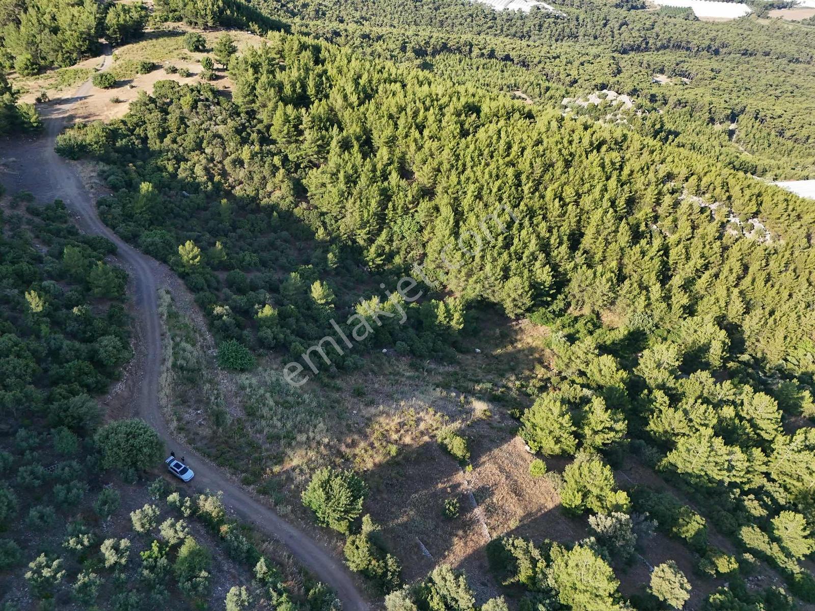 Kumluca Yenice'de Meyve Bahçesi Ve Sera İçin Uygun Satılık Tarla - Görsel 31