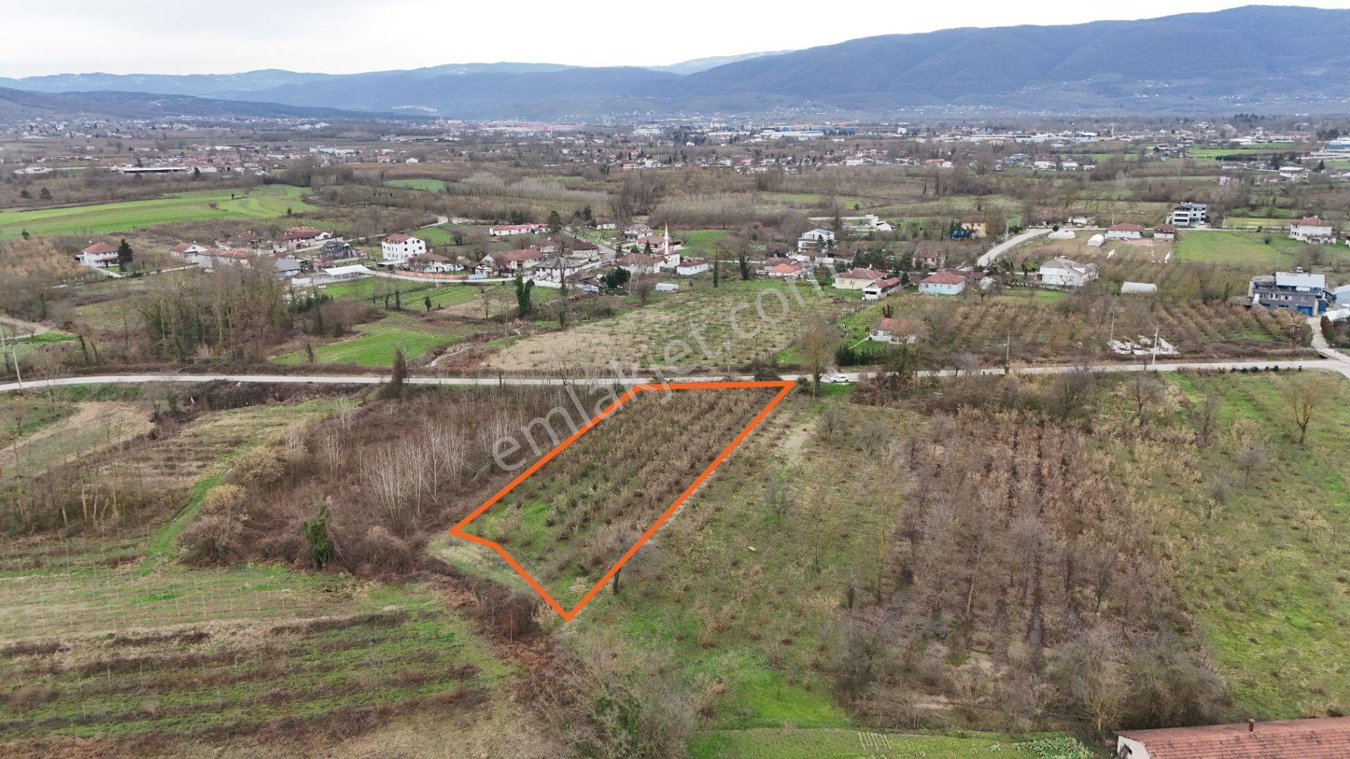 Düzce, Hacıaliler 2720m² Ve 26m Yol Cepheli İmarlı Satılık Arsa. - Görsel 9