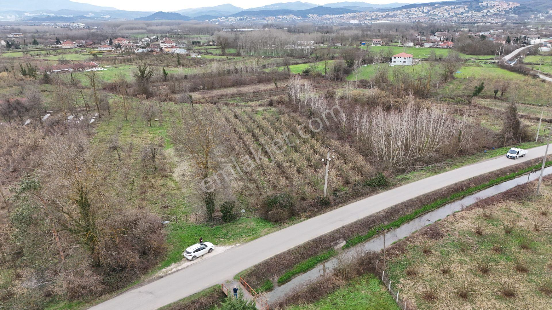 Düzce, Hacıaliler 2720m² Ve 26m Yol Cepheli İmarlı Satılık Arsa. - Görsel 7