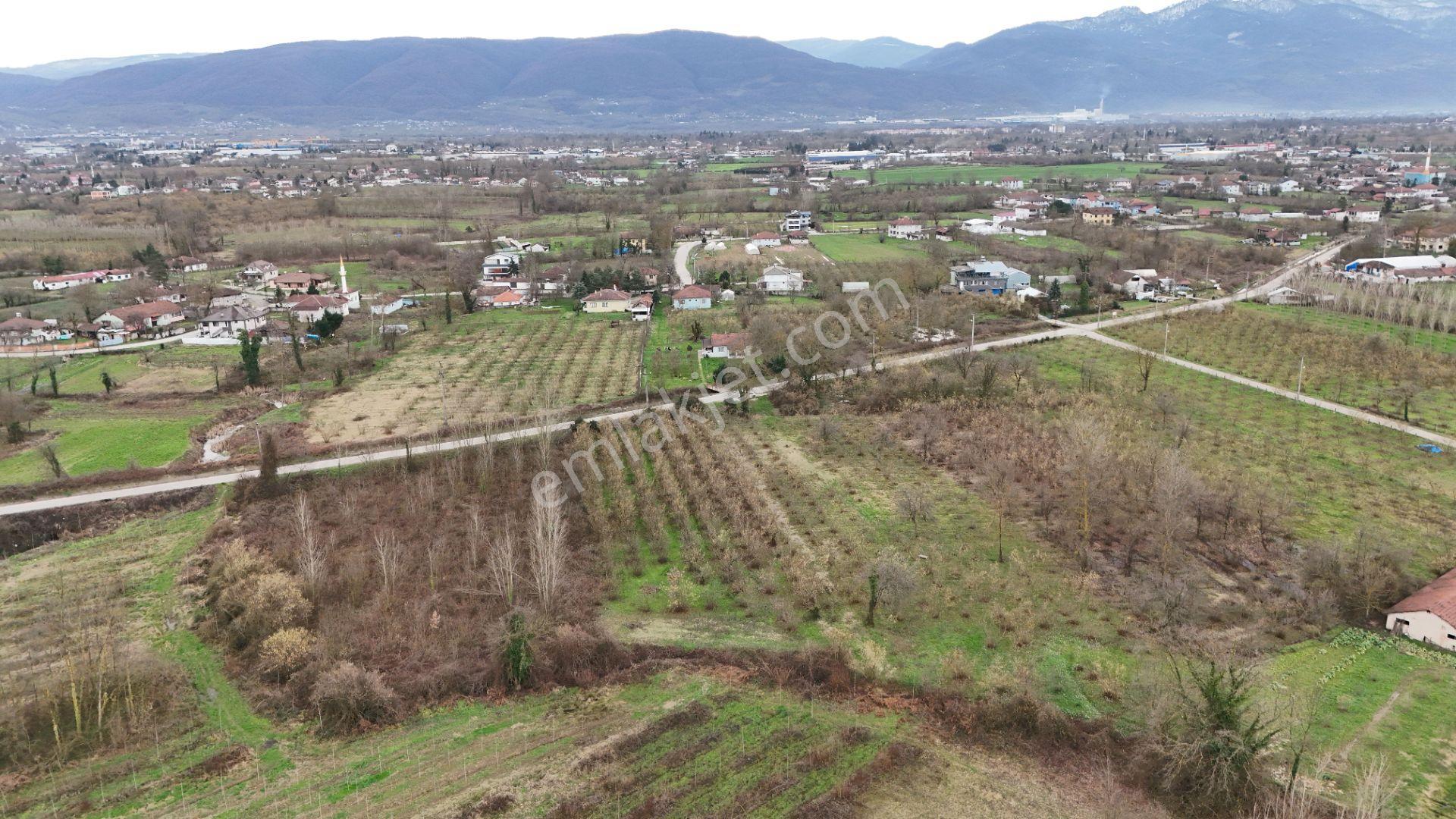 Düzce, Hacıaliler 2720m² Ve 26m Yol Cepheli İmarlı Satılık Arsa.