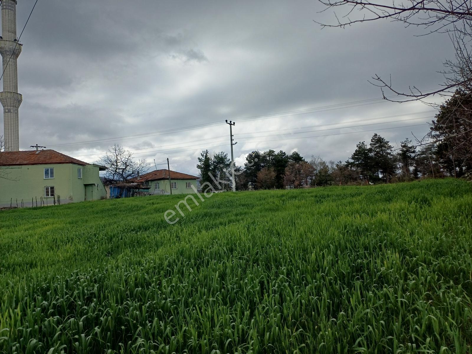 Alaçam Esentepe Mah. De Anayola Cephe 1.938 M2 Tek Tapu Arsa - Görsel 13