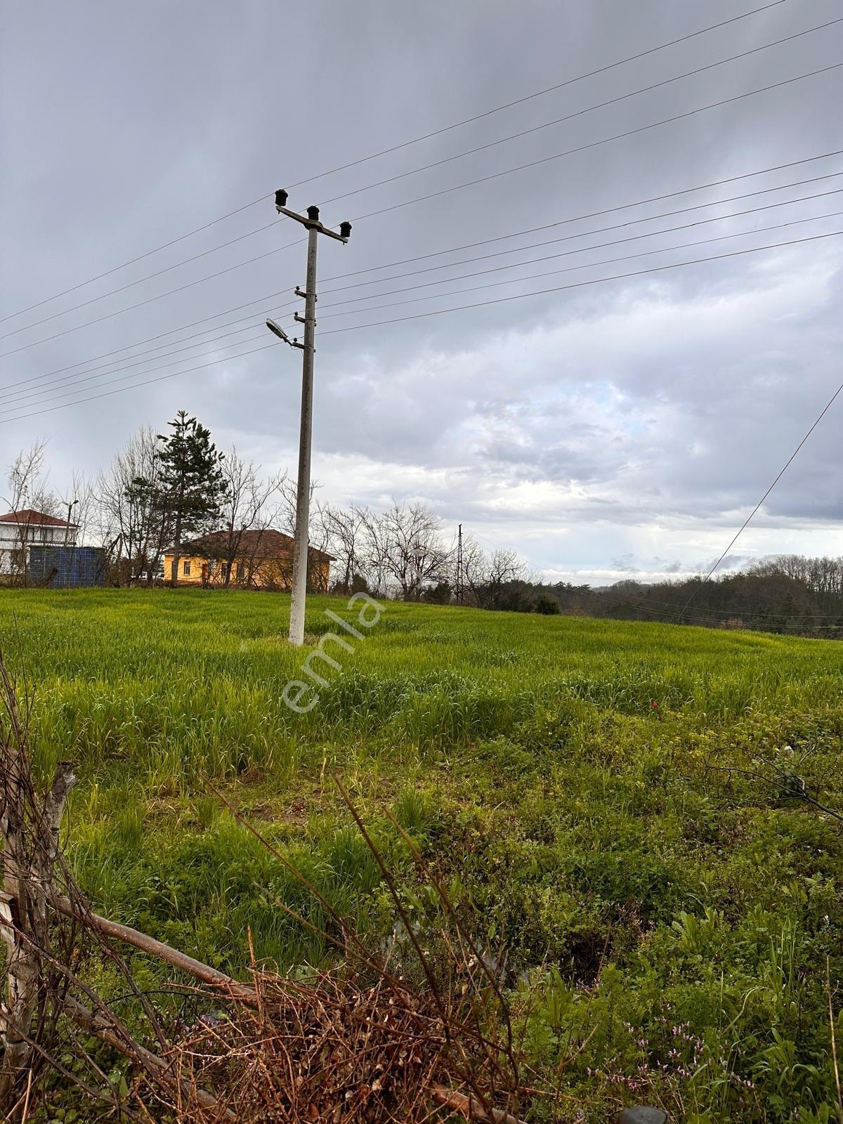 Alaçam Esentepe Mah. De Anayola Cephe 1.938 M2 Tek Tapu Arsa - Görsel 7