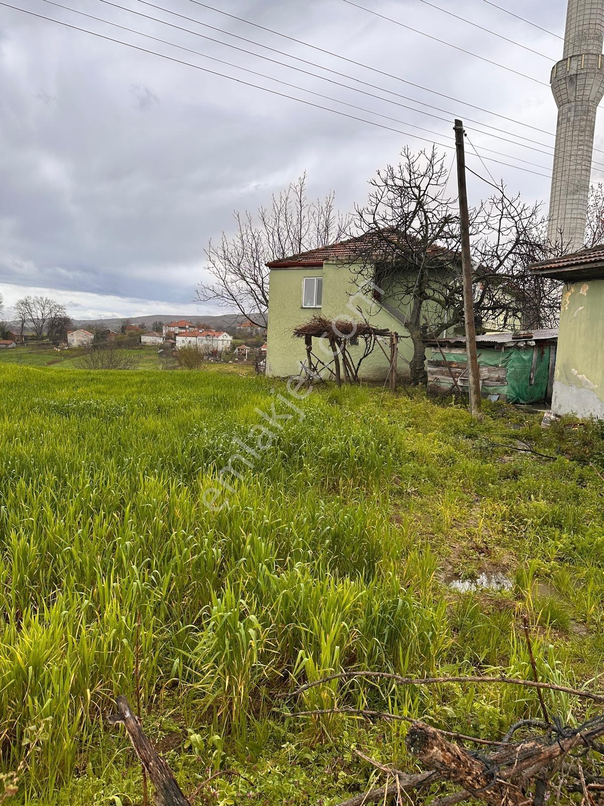Alaçam Esentepe Mah. De Anayola Cephe 1.938 M2 Tek Tapu Arsa - Görsel 30
