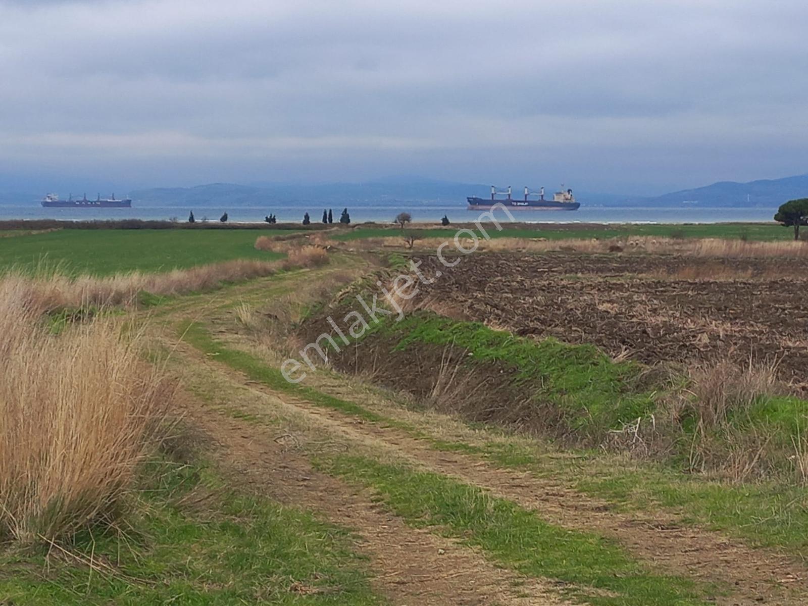 Deniz, Doğa Ve Boğaz Manzaralı Sahile 500m, 19.334 M2 Tarla - Görsel 4