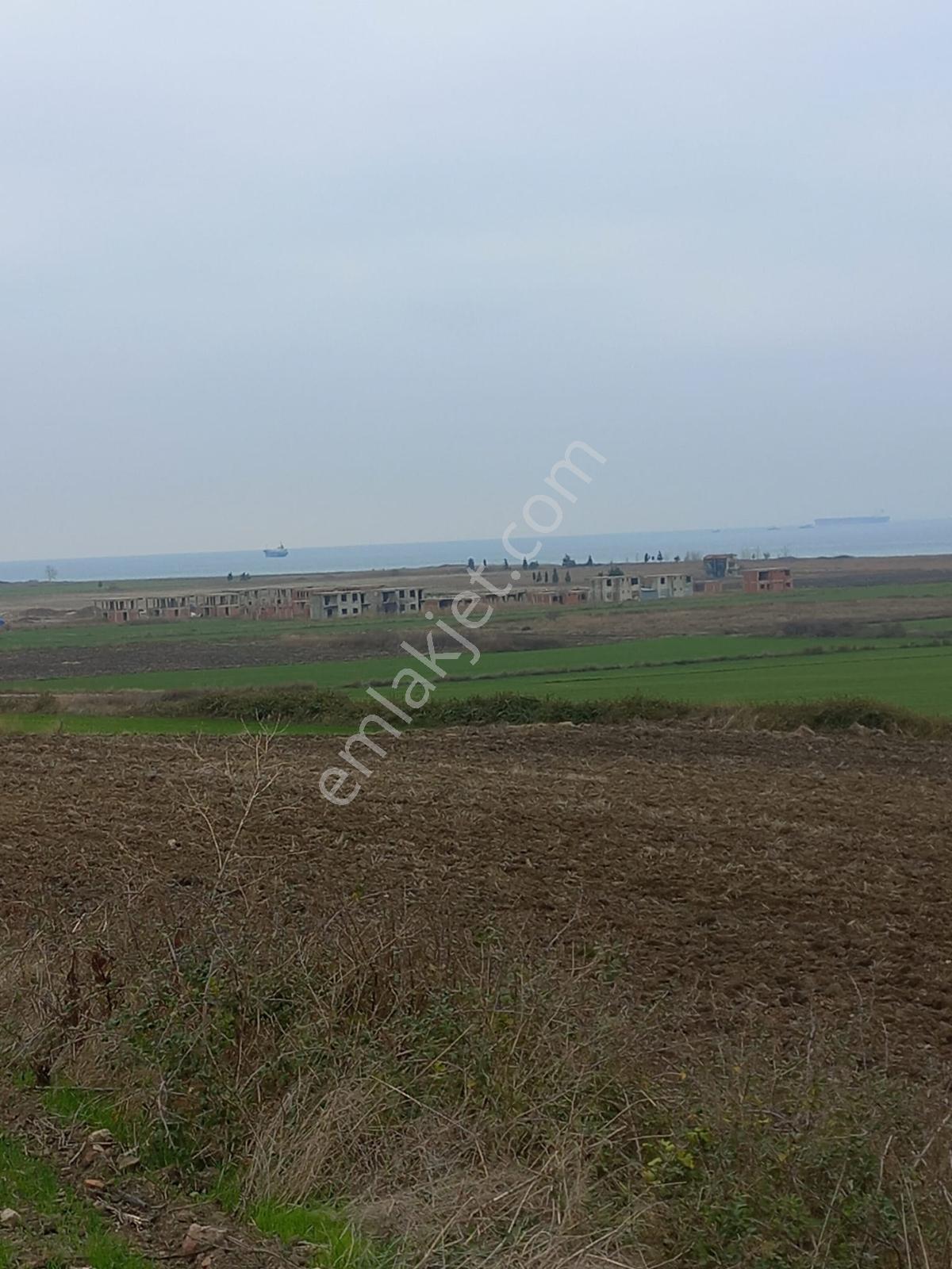 Deniz, Doğa Ve Boğaz Manzaralı Sahile 500m, 19.334 M2 Tarla - Görsel 3