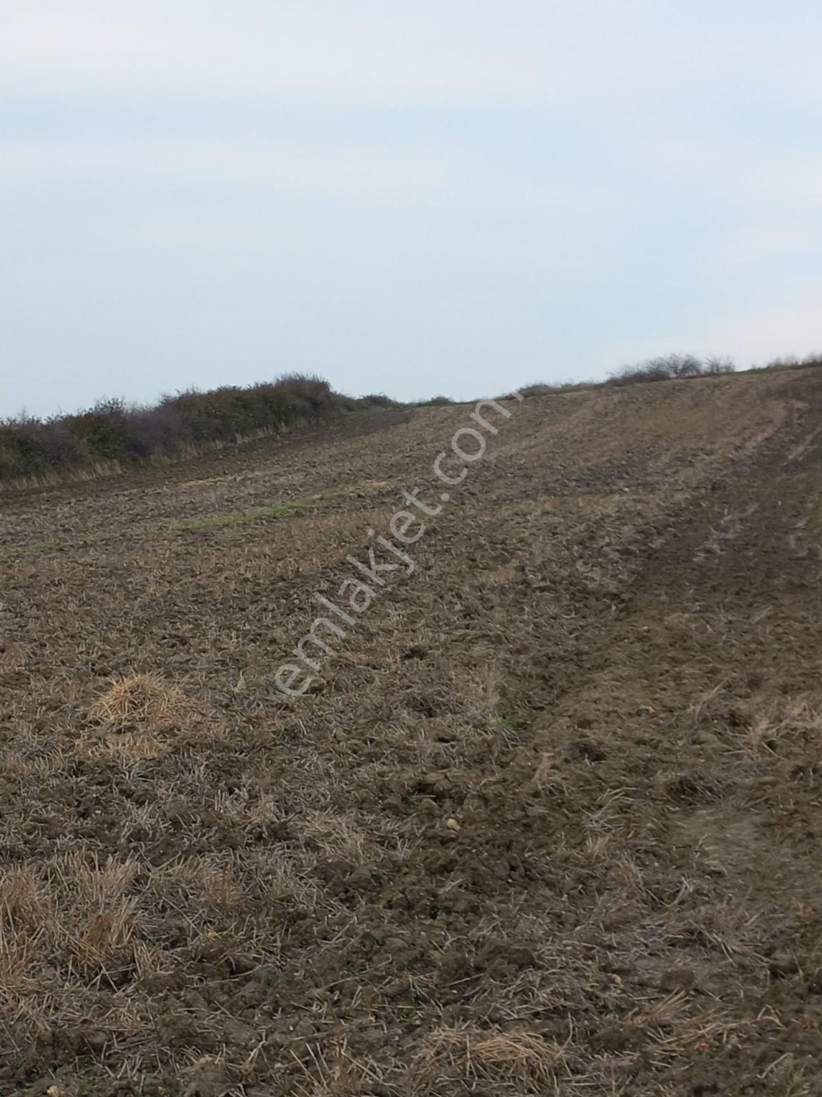 Deniz, Doğa Ve Boğaz Manzaralı Sahile 500m, 19.334 M2 Tarla - Görsel 27