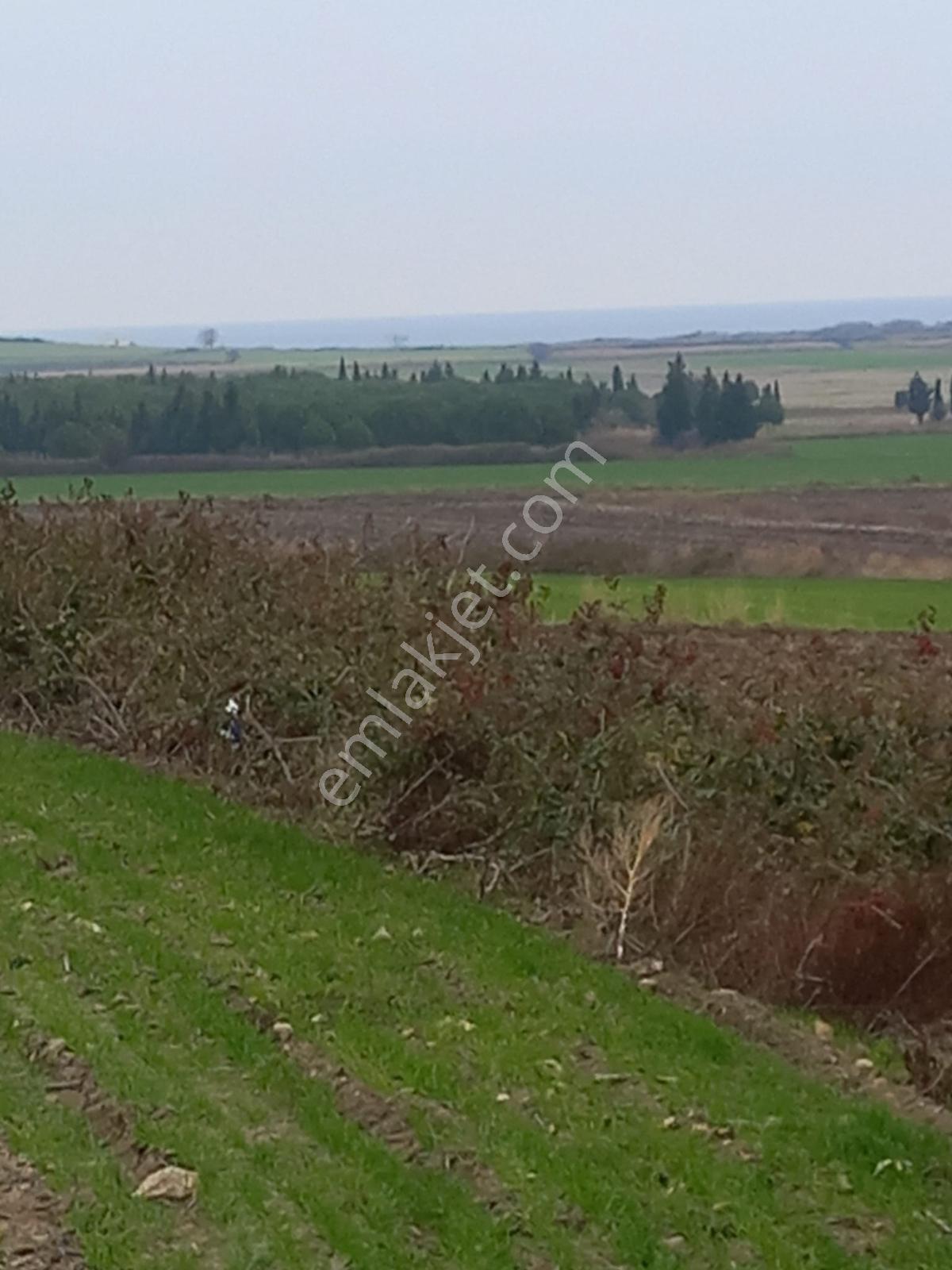 Deniz, Doğa Ve Boğaz Manzaralı Sahile 500m, 19.334 M2 Tarla - Görsel 8