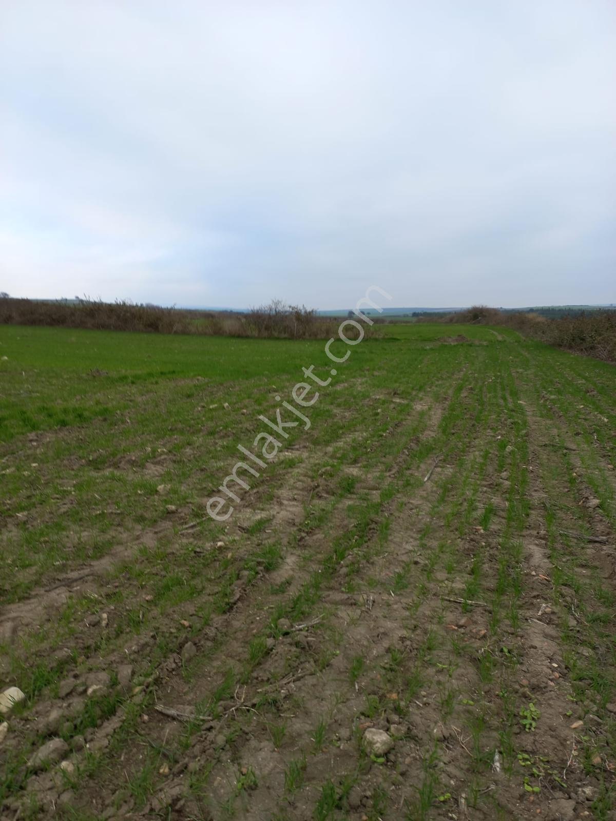 Deniz, Doğa Ve Boğaz Manzaralı Sahile 500m, 19.334 M2 Tarla - Görsel 9