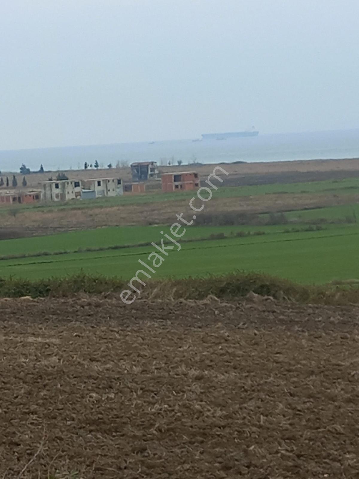 Deniz, Doğa Ve Boğaz Manzaralı Sahile 500m, 19.334 M2 Tarla - Görsel 31