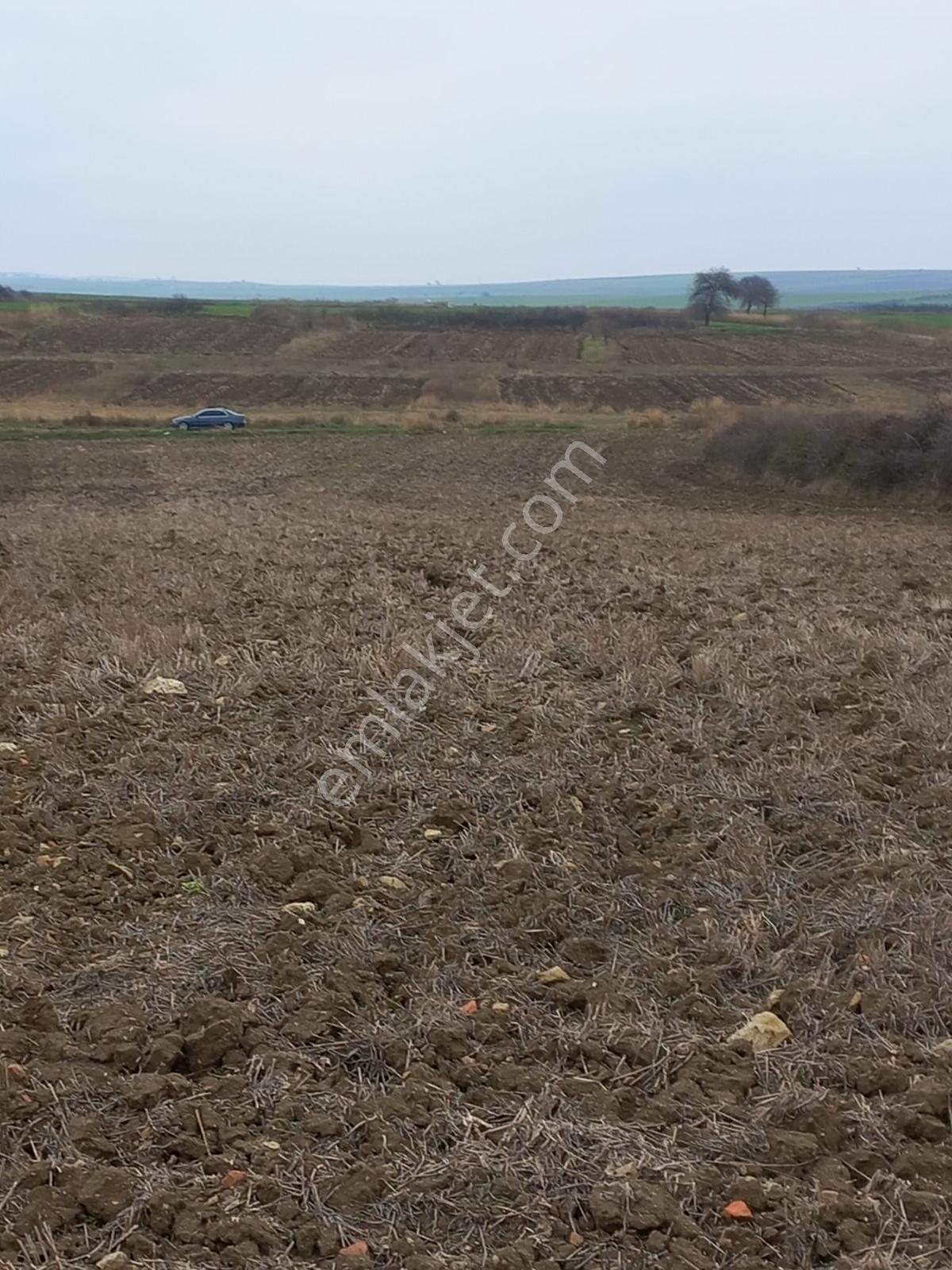 Deniz, Doğa Ve Boğaz Manzaralı Sahile 500m, 19.334 M2 Tarla - Görsel 35