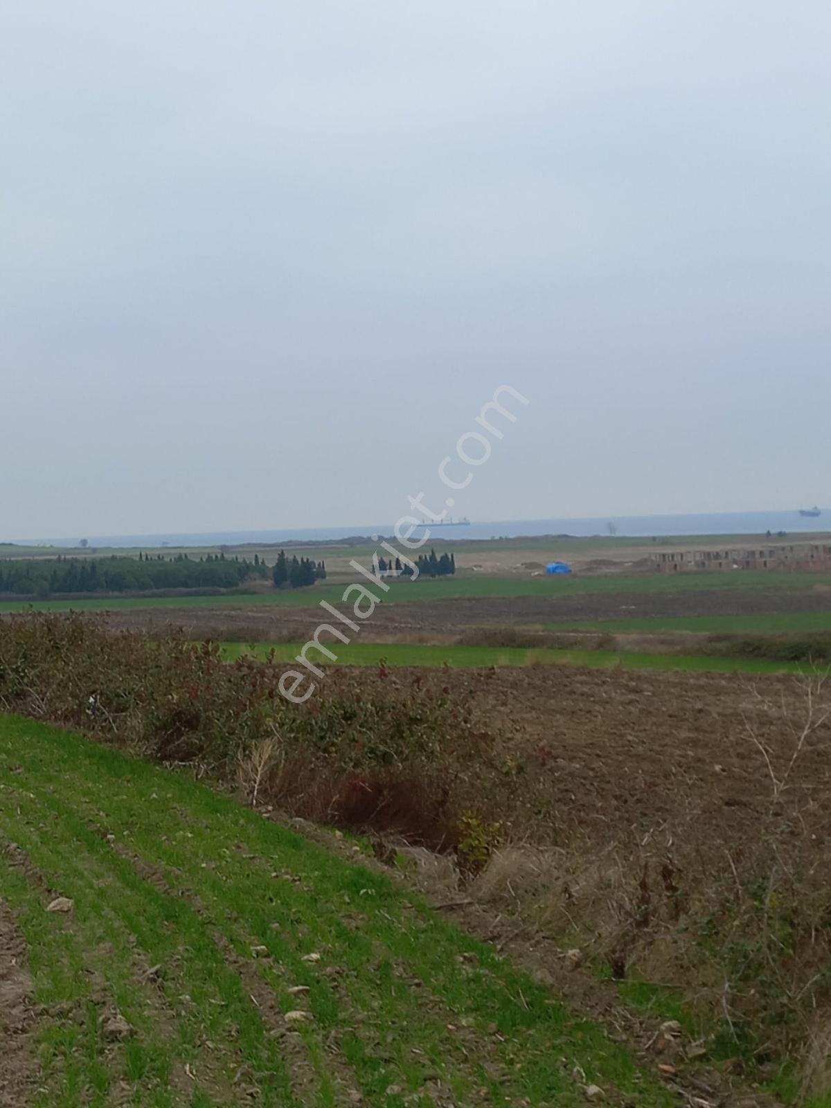 Deniz, Doğa Ve Boğaz Manzaralı Sahile 500m, 19.334 M2 Tarla - Görsel 22