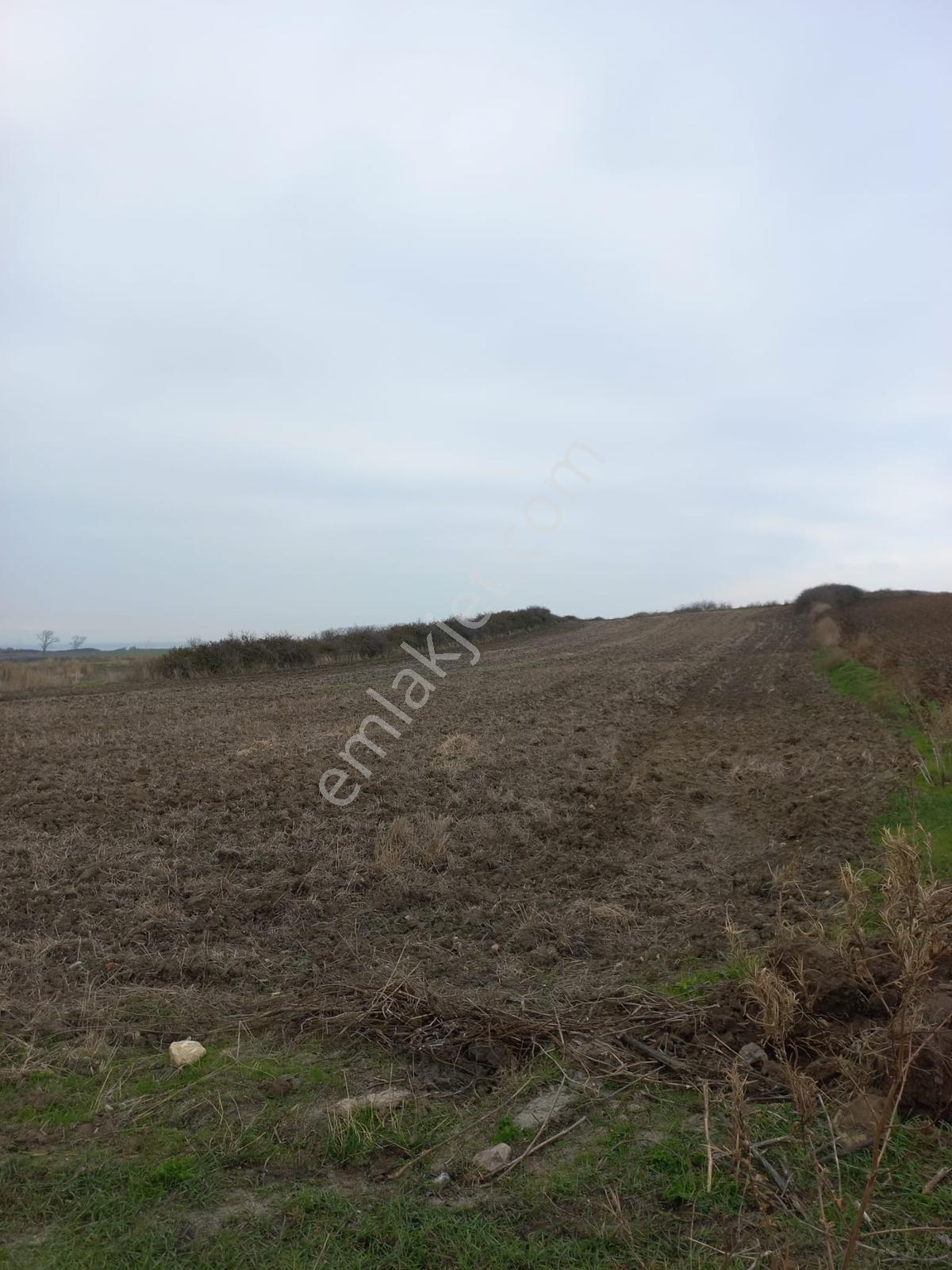 Deniz, Doğa Ve Boğaz Manzaralı Sahile 500m, 19.334 M2 Tarla - Görsel 6