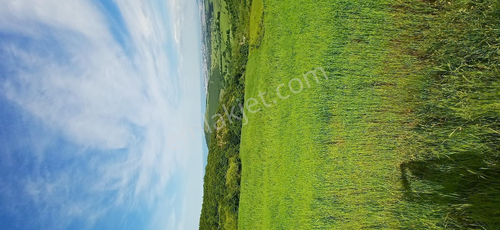 Yukarıaksu'da Deniz Manzaralı 1.944 M2 Satılık Tarla Hissesi - Görsel 7