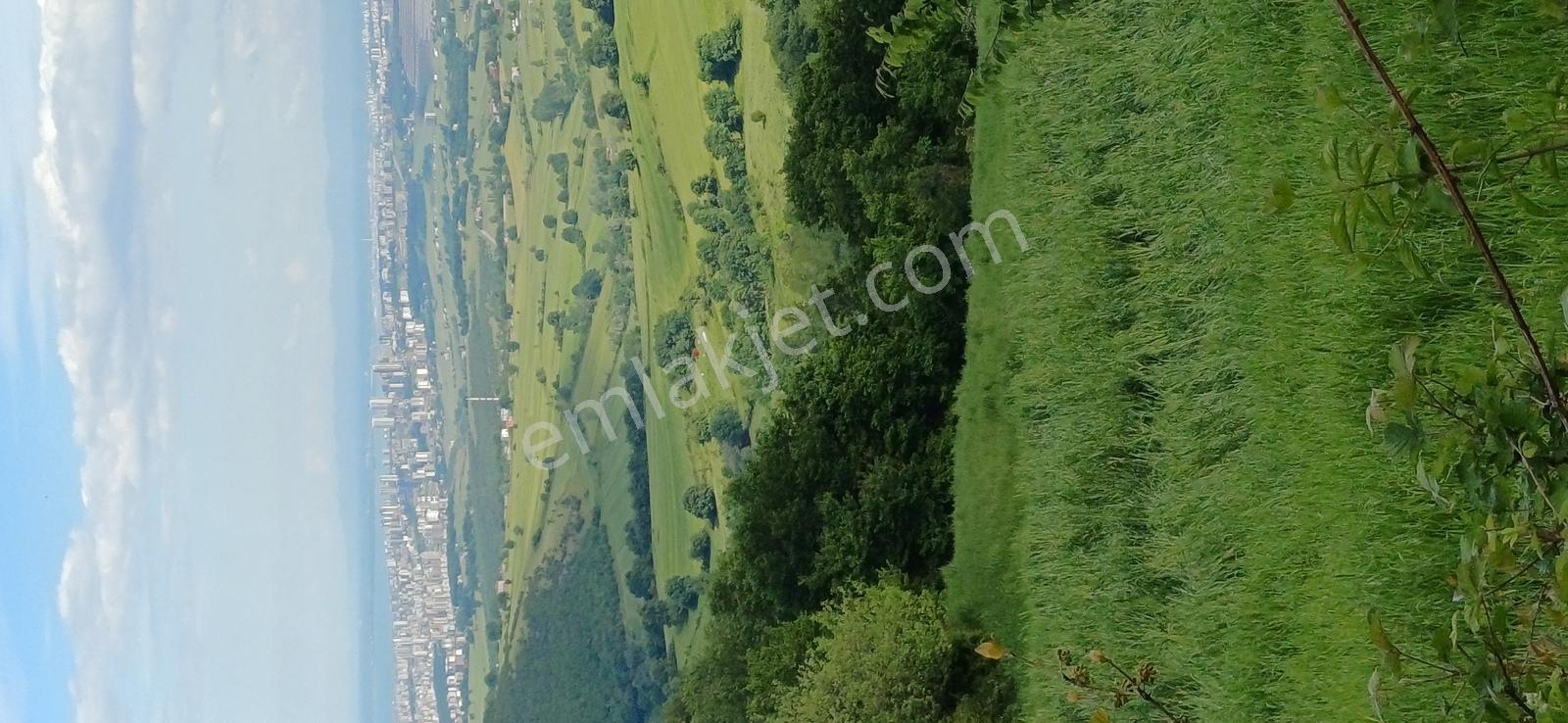 Yukarıaksu'da Deniz Manzaralı 1.944 M2 Satılık Tarla Hissesi - Görsel 8
