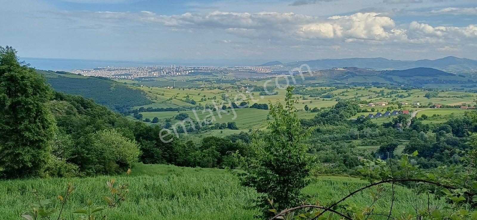 Yukarıaksu'da Deniz Manzaralı 1.944 M2 Satılık Tarla Hissesi - Görsel 34