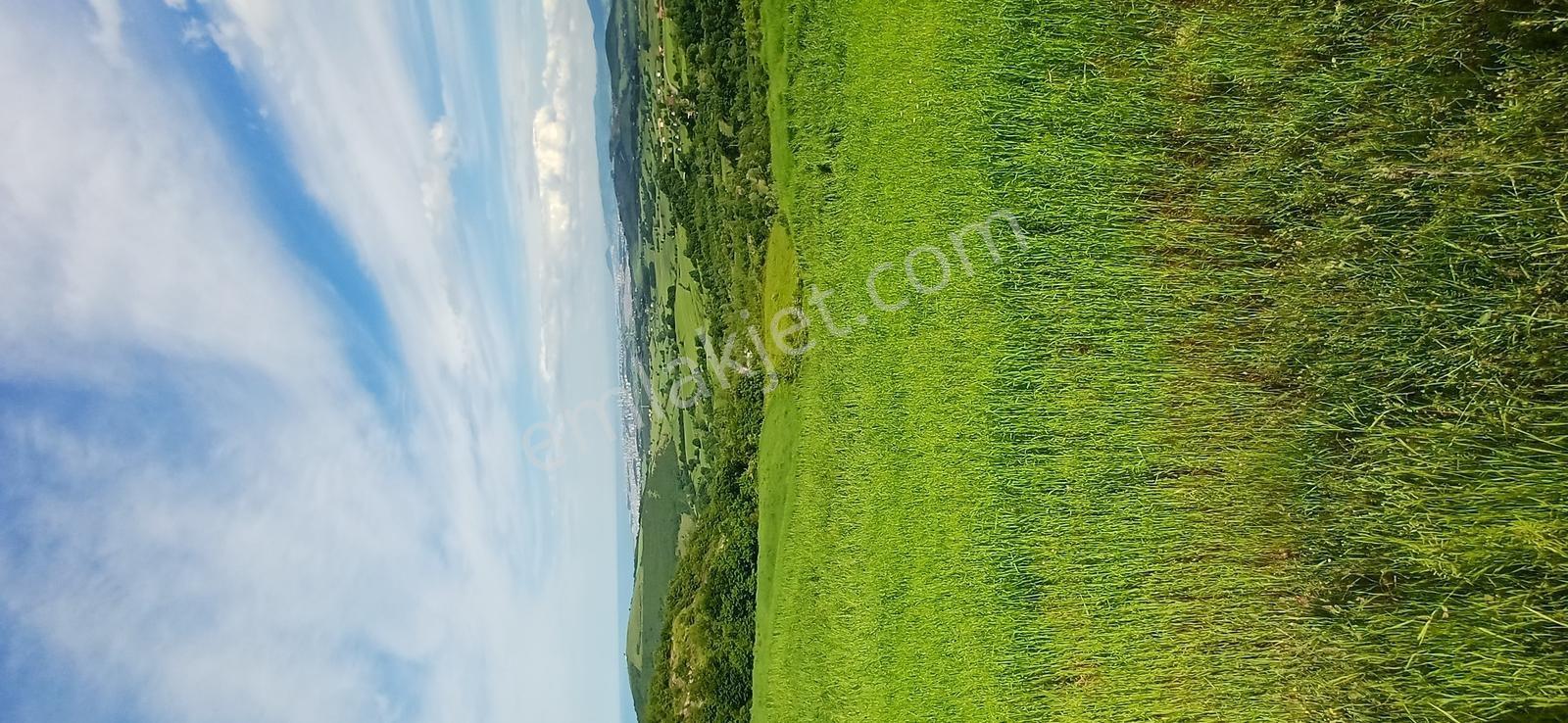 Yukarıaksu'da Deniz Manzaralı 1.944 M2 Satılık Tarla Hissesi - Görsel 6