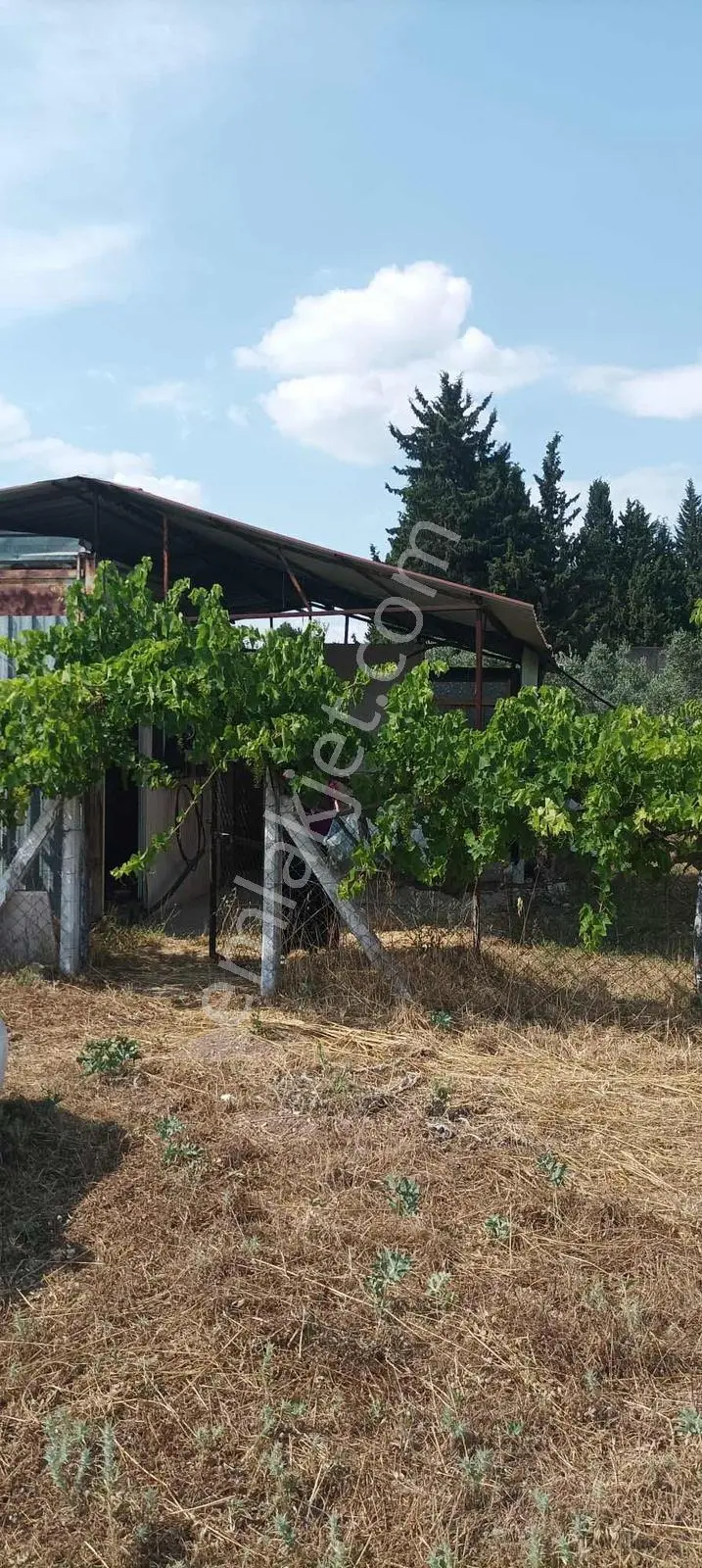 Turyap'tan Menderes Kısıkta Tarla Konumu Güzel Havaalanı Arkası - Görsel 7