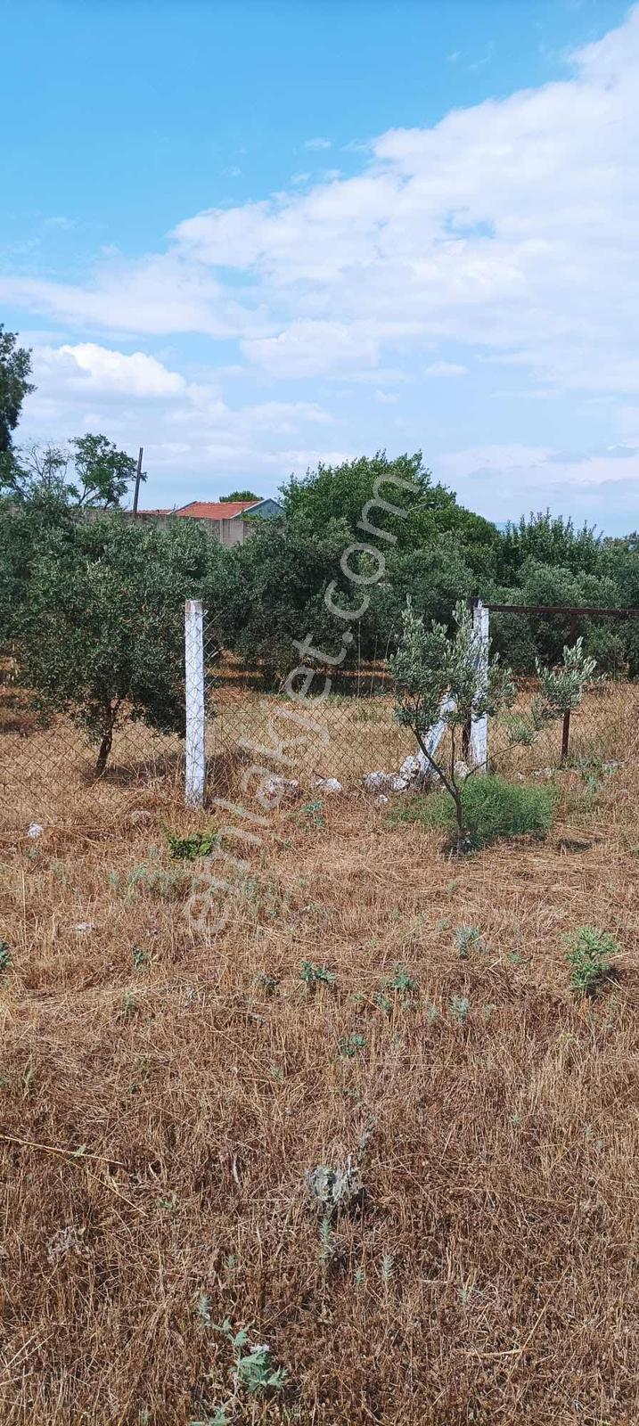 Turyap'tan Menderes Kısıkta Tarla Konumu Güzel Havaalanı Arkası - Görsel 10
