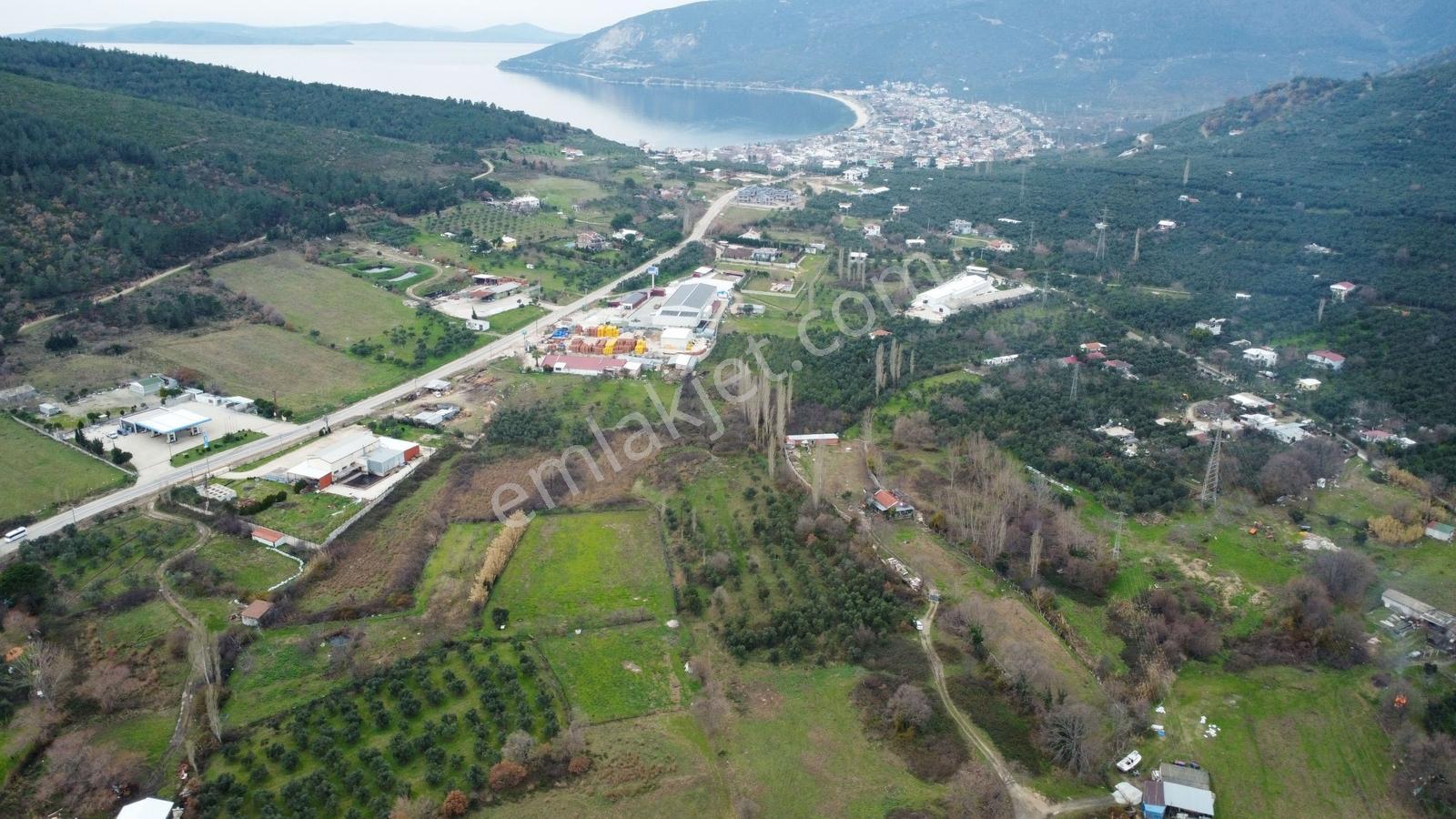 Lıon Emlak'tan Ocaklar'da 6500 M² Fırsat Zeytinlik - Görsel 21