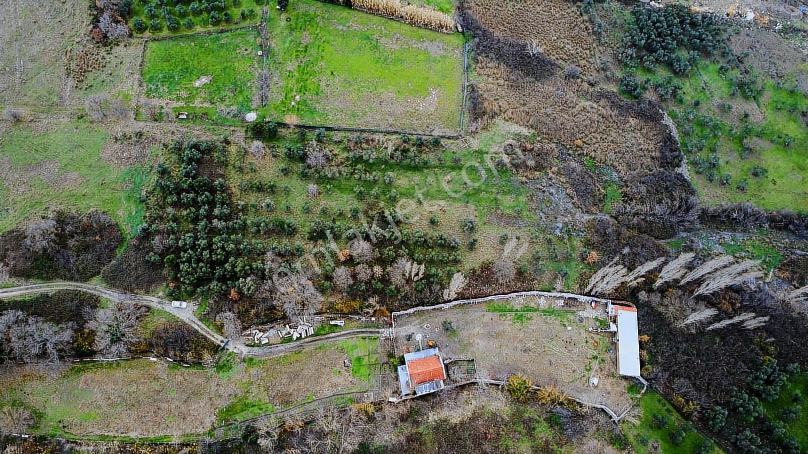 Lıon Emlak'tan Ocaklar'da 6500 M² Fırsat Zeytinlik - Görsel 23