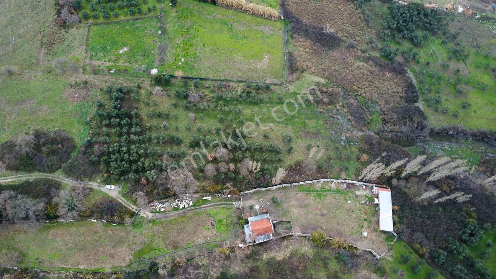 Lıon Emlak'tan Ocaklar'da 6500 M² Fırsat Zeytinlik - Görsel 26