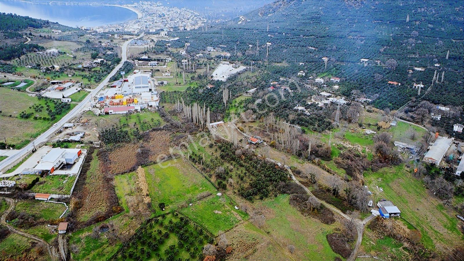 Lıon Emlak'tan Ocaklar'da 6500 M² Fırsat Zeytinlik - Görsel 14