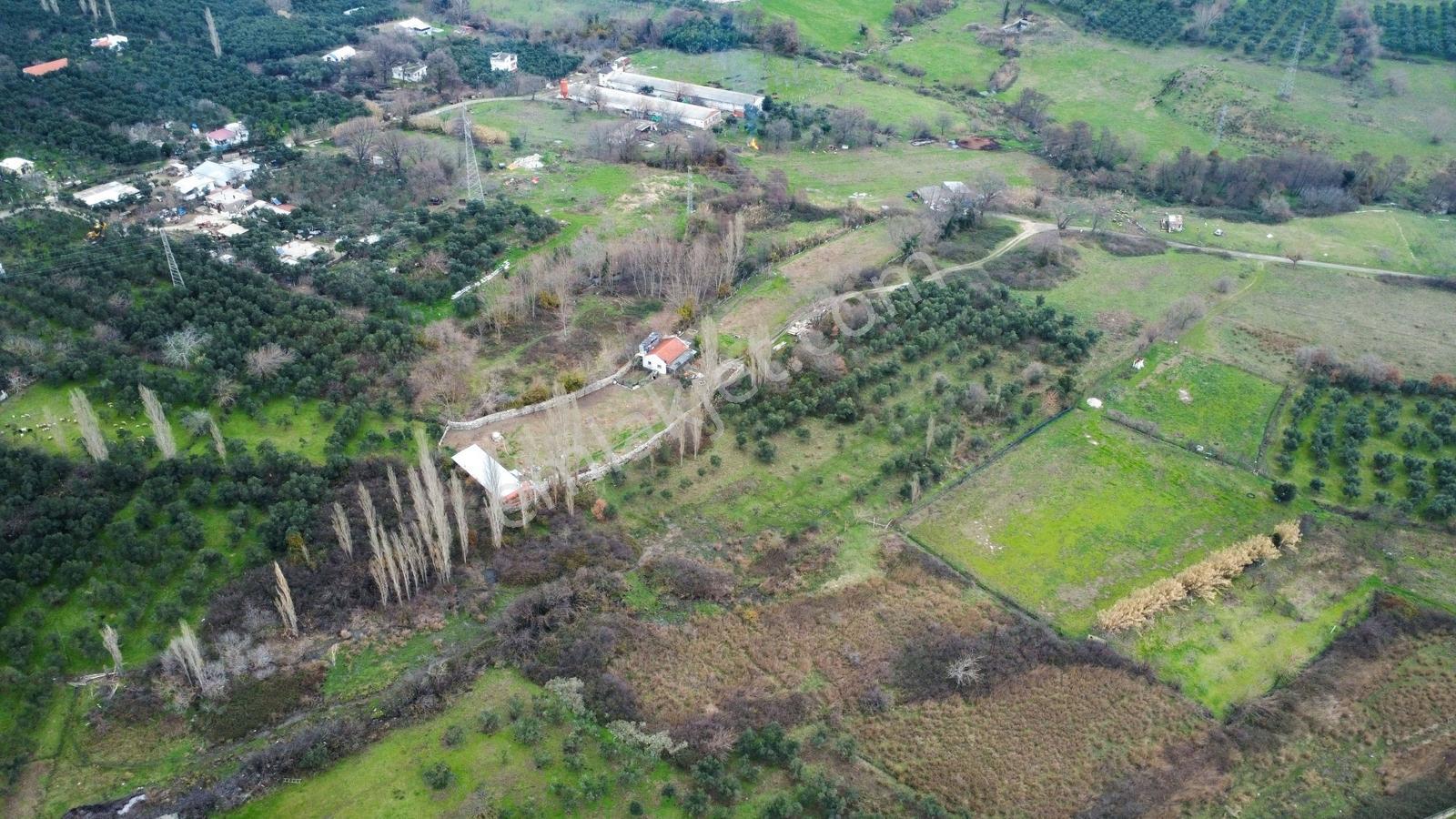 Lıon Emlak'tan Ocaklar'da 6500 M² Fırsat Zeytinlik - Görsel 27
