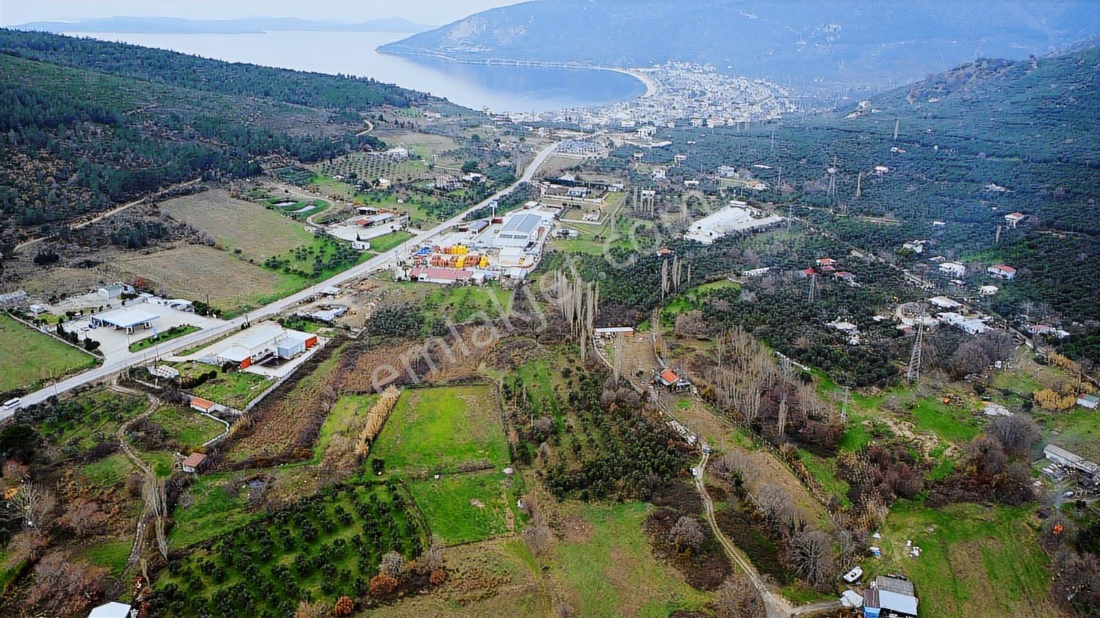 Lıon Emlak'tan Ocaklar'da 6500 M² Fırsat Zeytinlik - Görsel 25