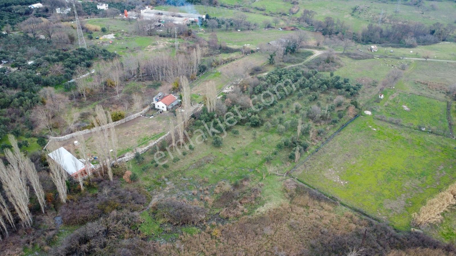Lıon Emlak'tan Ocaklar'da 6500 M² Fırsat Zeytinlik - Görsel 19