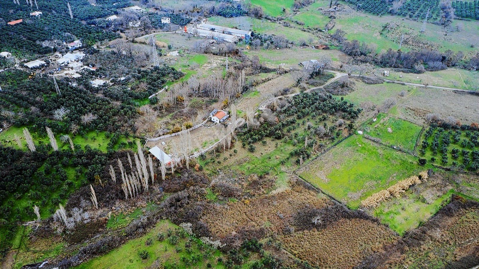 Lıon Emlak'tan Ocaklar'da 6500 M² Fırsat Zeytinlik - Görsel 6