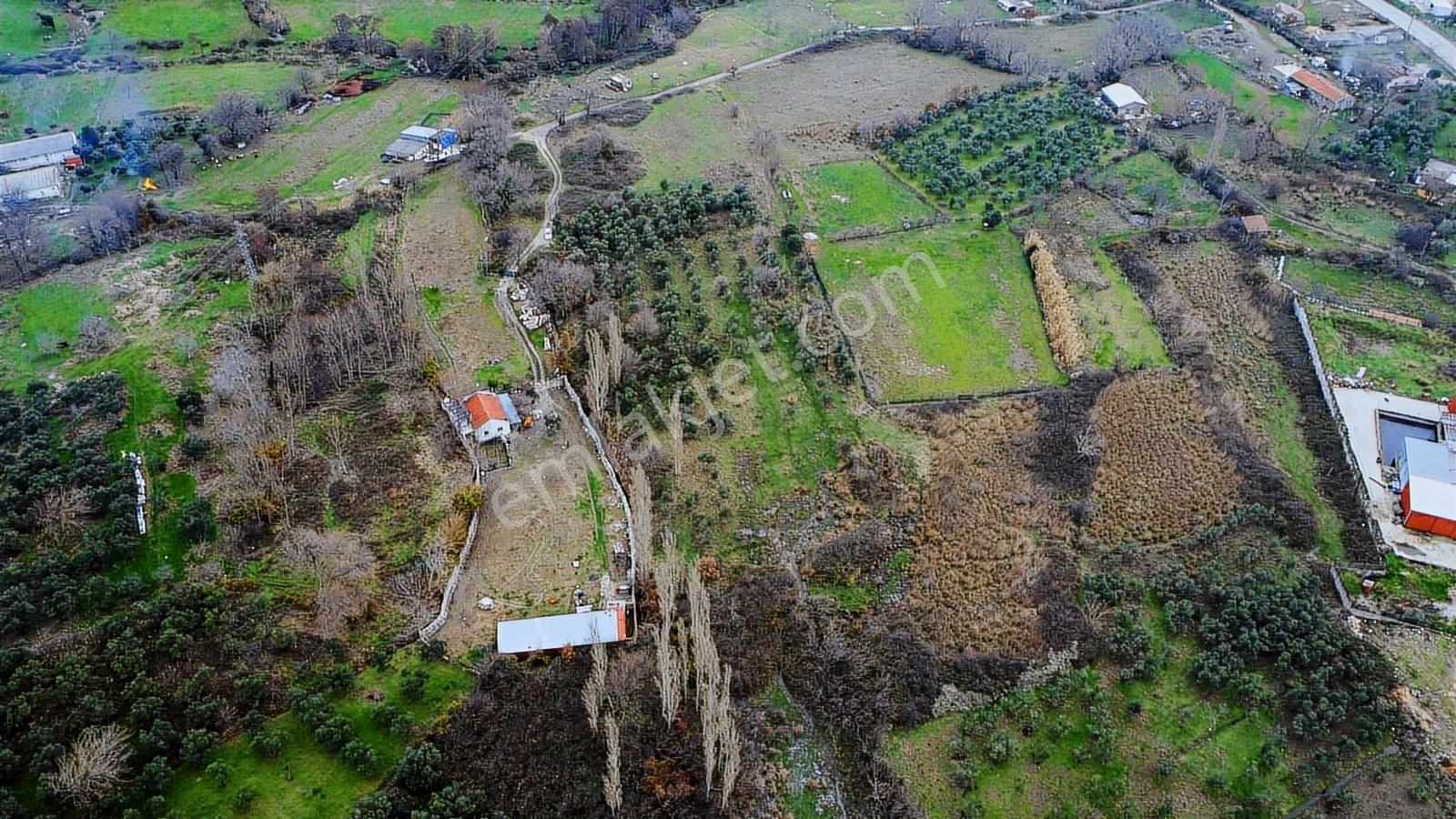 Lıon Emlak'tan Ocaklar'da 6500 M² Fırsat Zeytinlik - Görsel 22