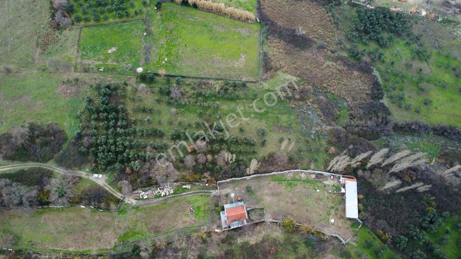 Lıon Emlak'tan Ocaklar'da 6500 M² Fırsat Zeytinlik - Görsel 2